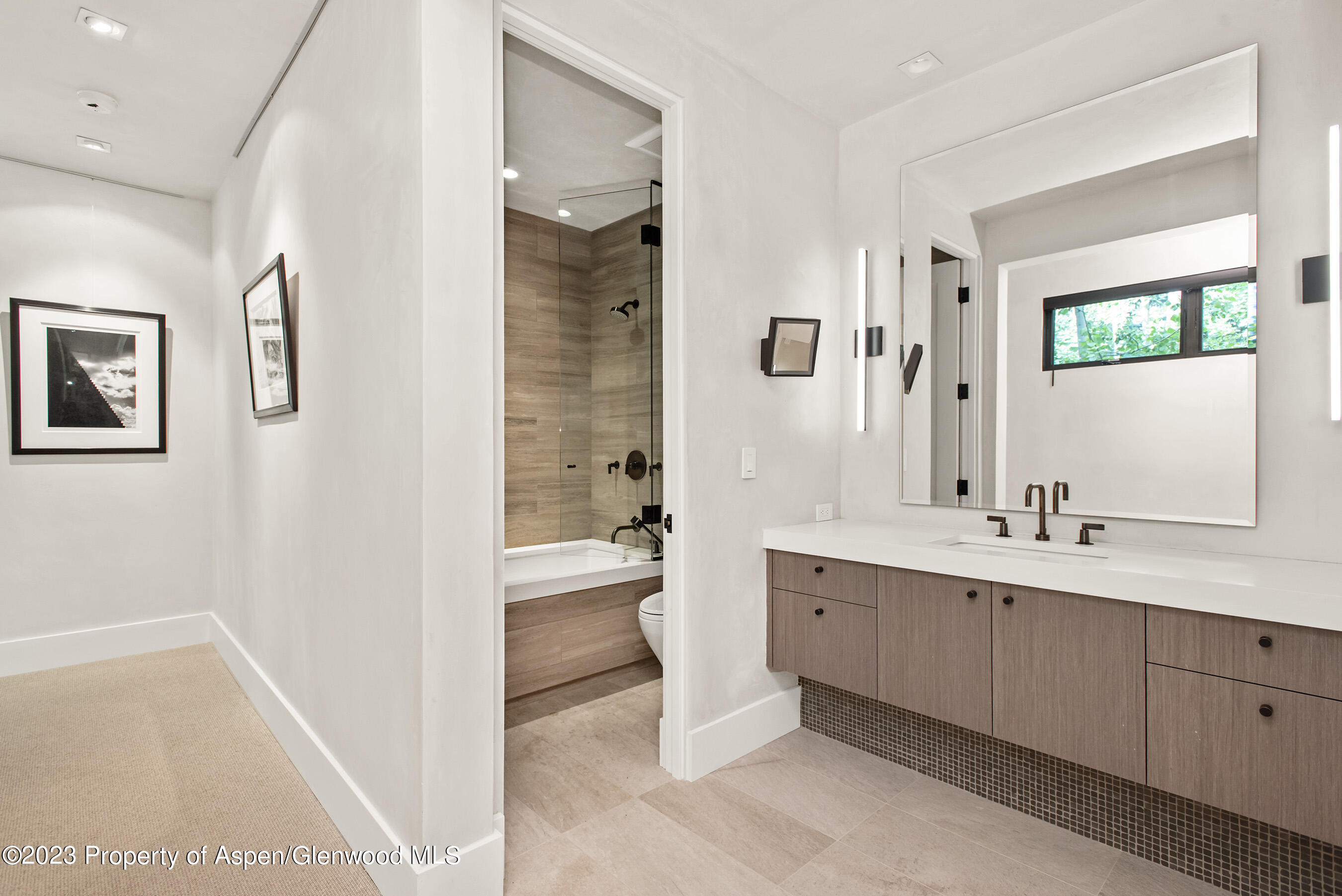 307 N Sixth Street Aspen CO 81611