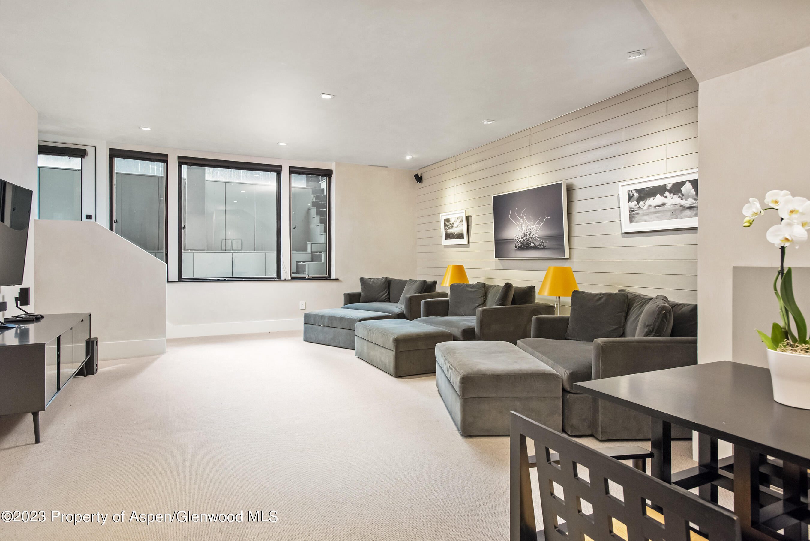 307 N Sixth Street Aspen CO 81611