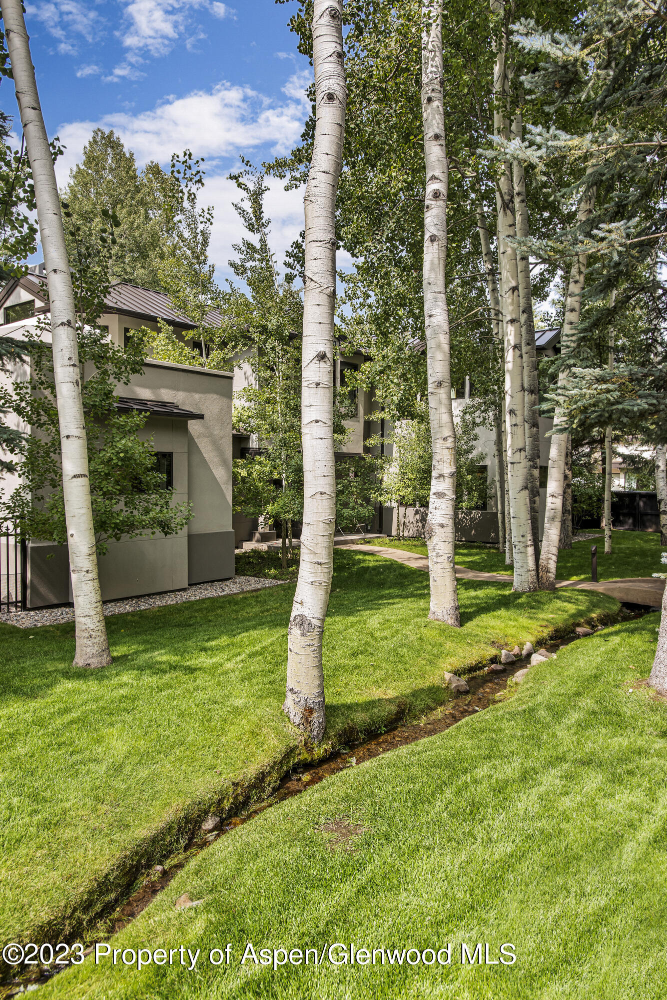 307 N Sixth Street Aspen CO 81611