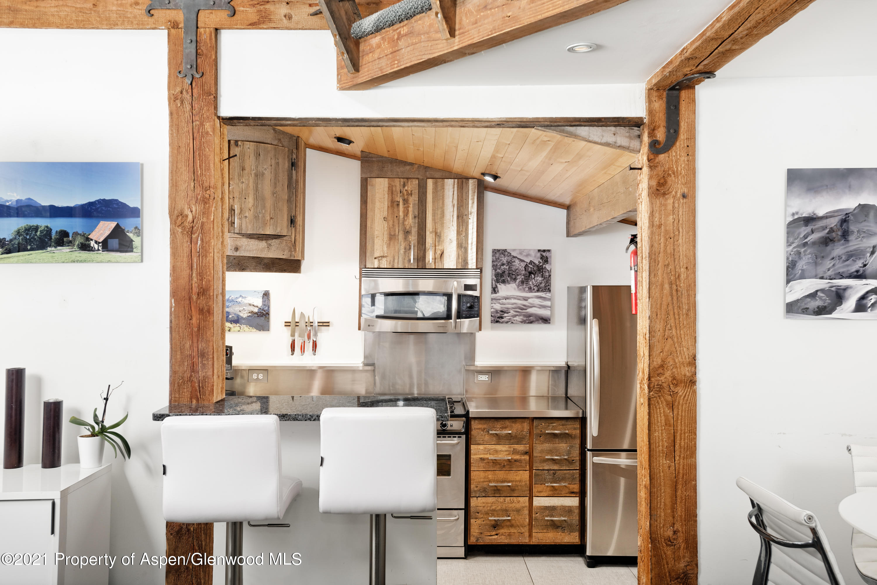 570 Spruce Street Aspen CO 81611