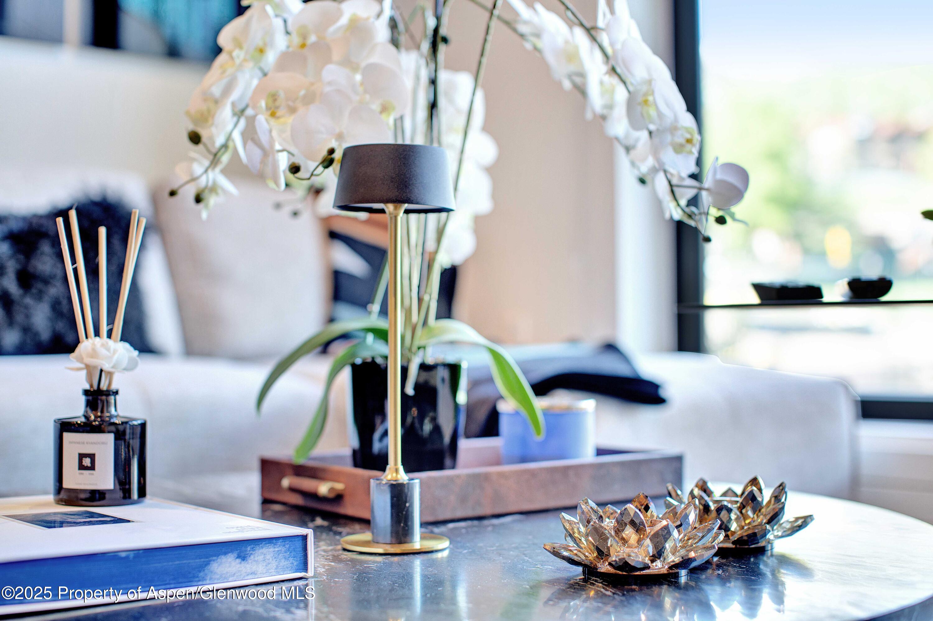 119 Wood Road Snowmass Village CO 81615