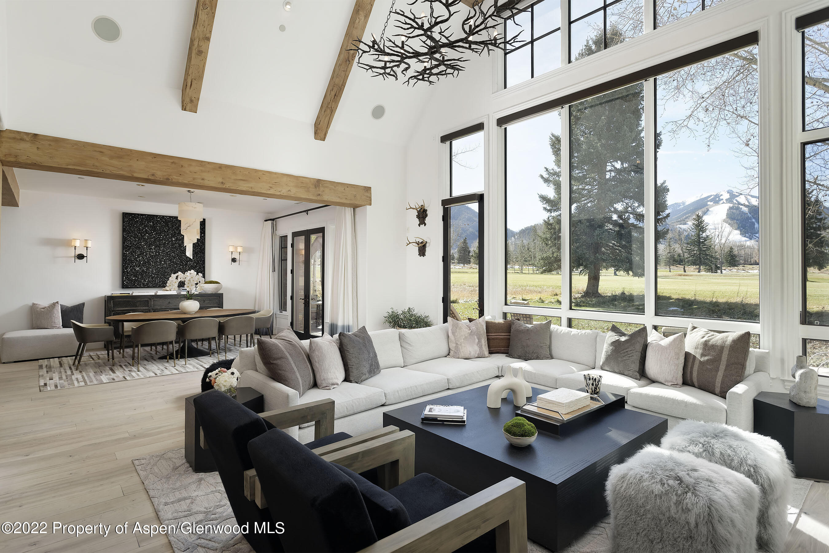 857 Bonita Drive Aspen CO 81611