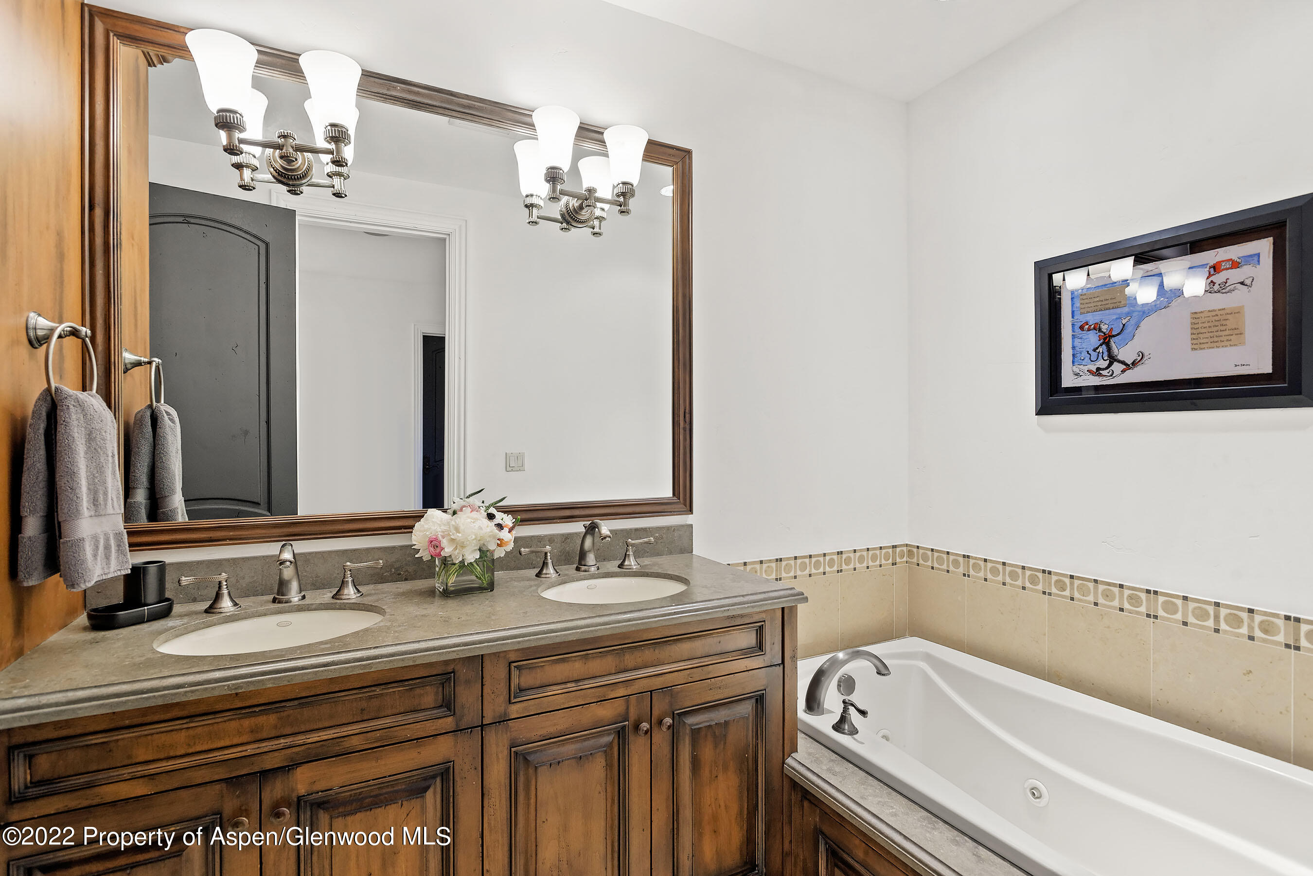 857 Bonita Drive Aspen CO 81611