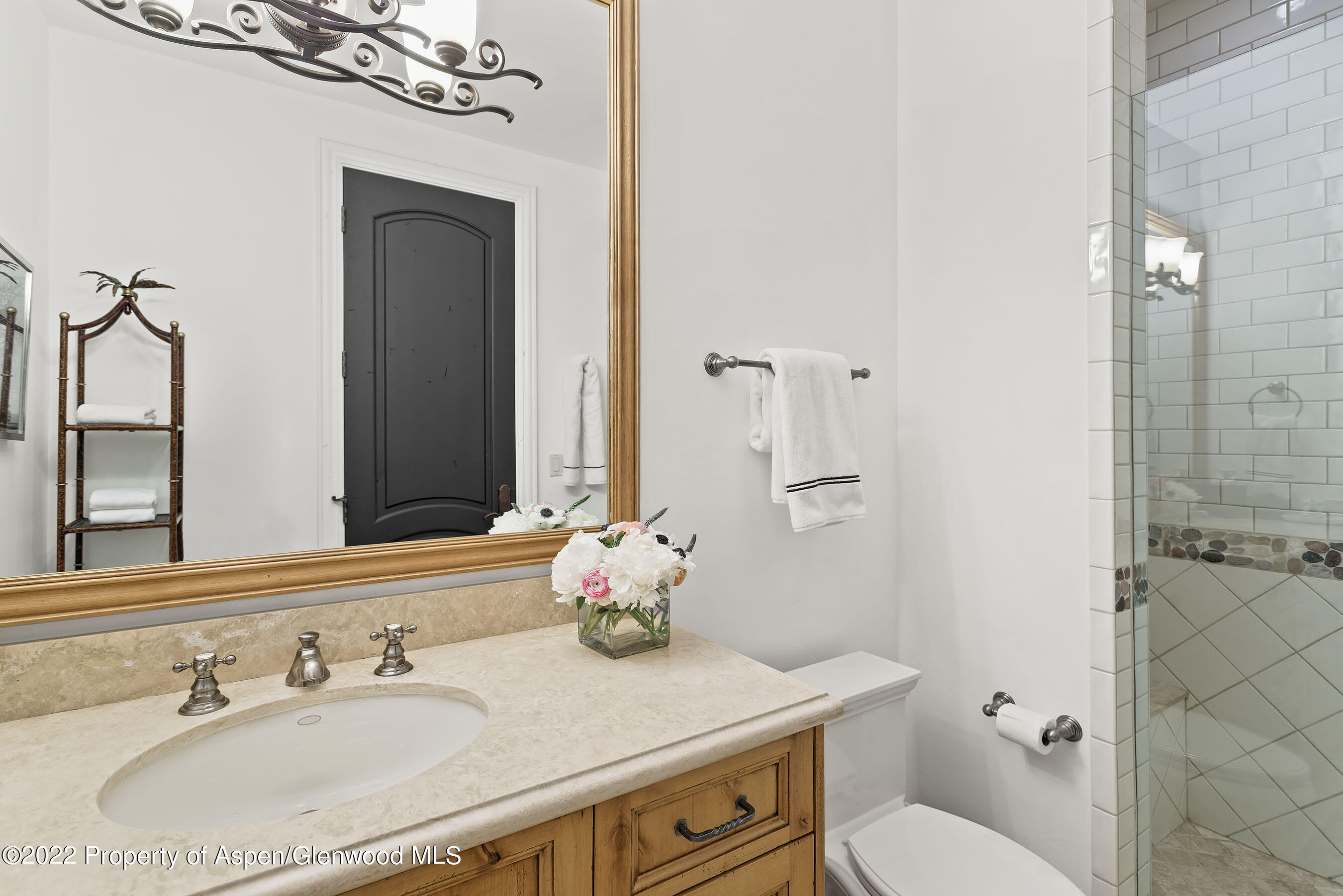 857 Bonita Drive Aspen CO 81611