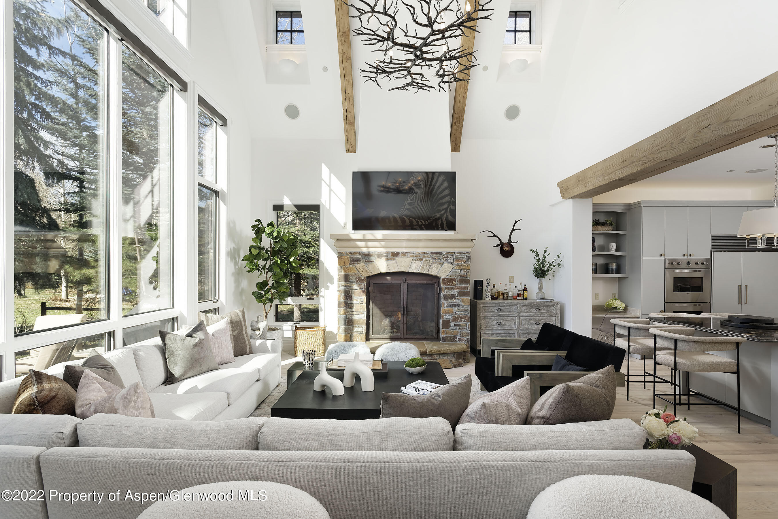 857 Bonita Drive Aspen CO 81611