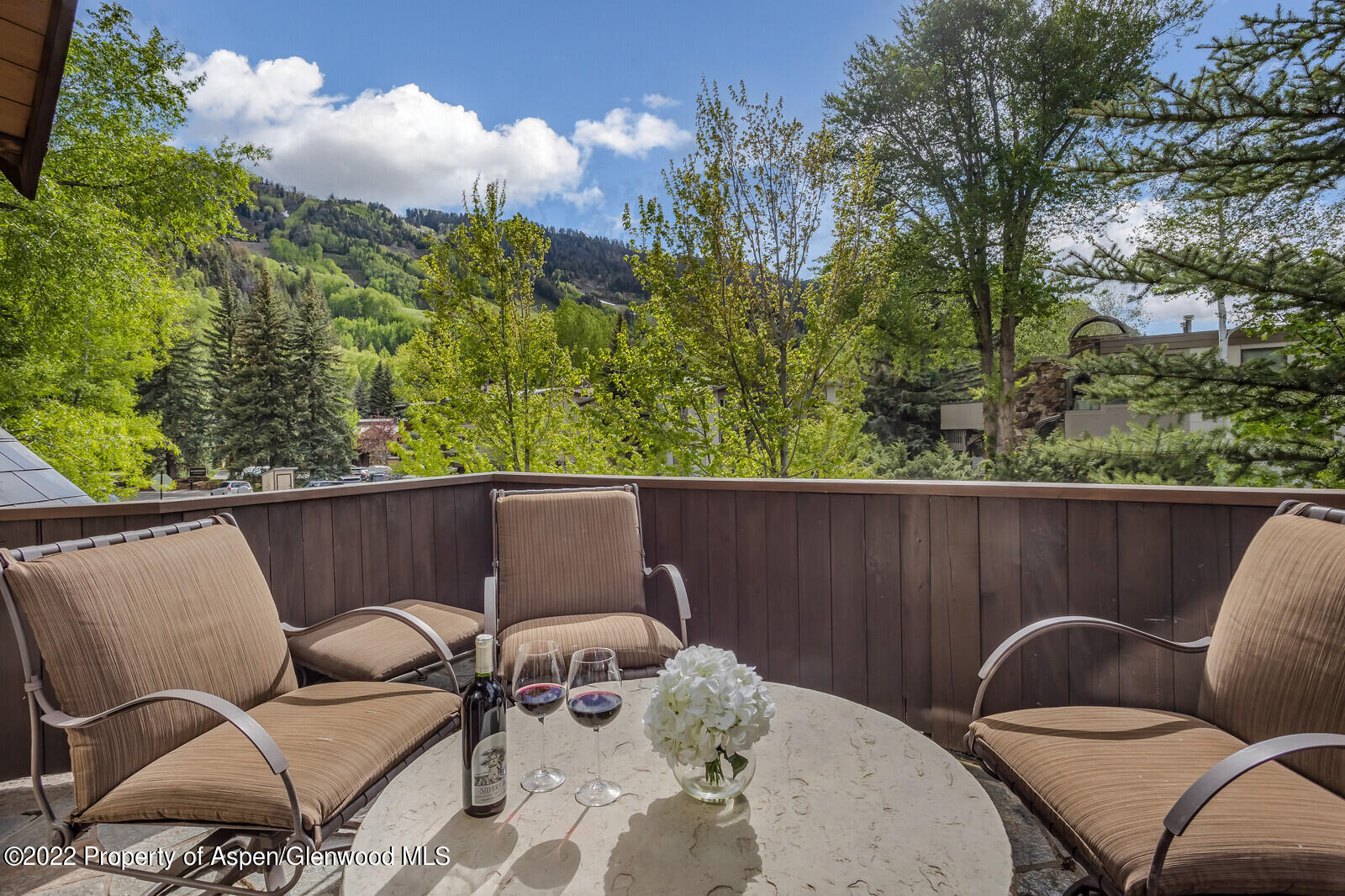 900 Waters Avenue Aspen CO 81611