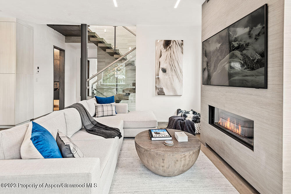 802 E Cooper Aspen CO 81611