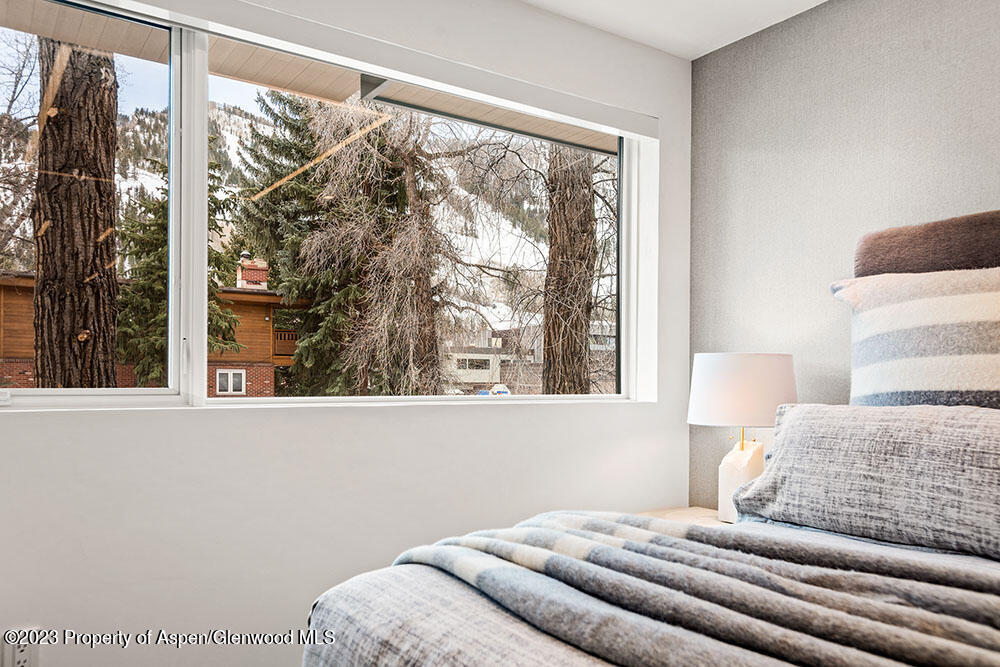 802 E Cooper Aspen CO 81611