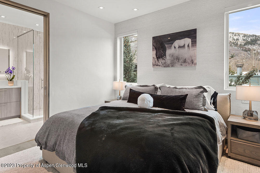 802 E Cooper Aspen CO 81611