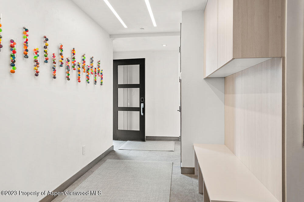 802 E Cooper Aspen CO 81611