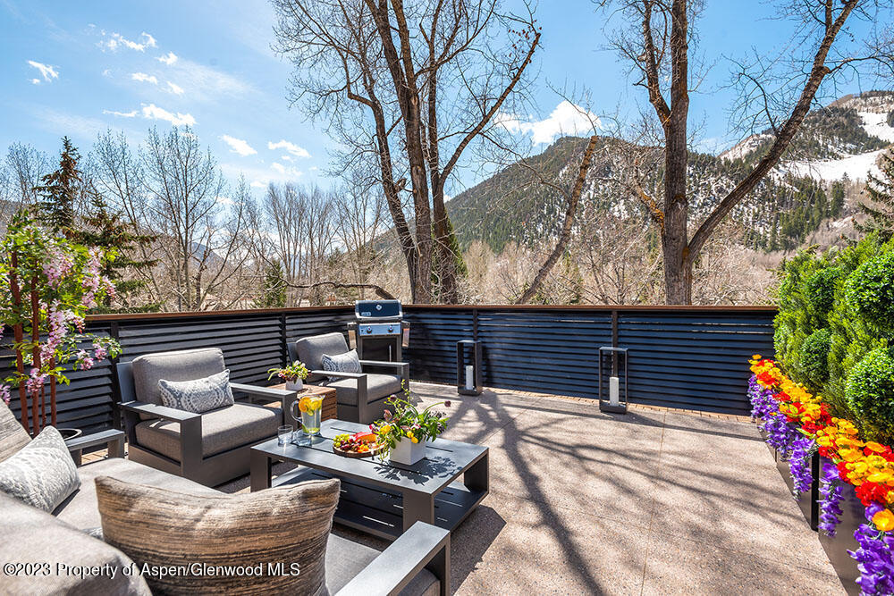 802 E Cooper Aspen CO 81611