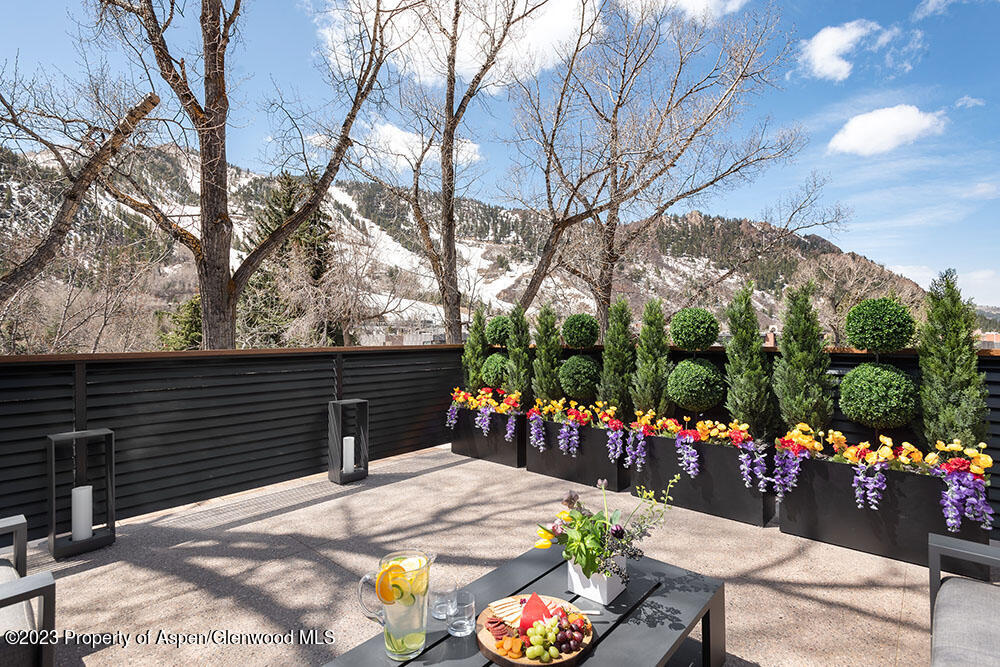 802 E Cooper Aspen CO 81611