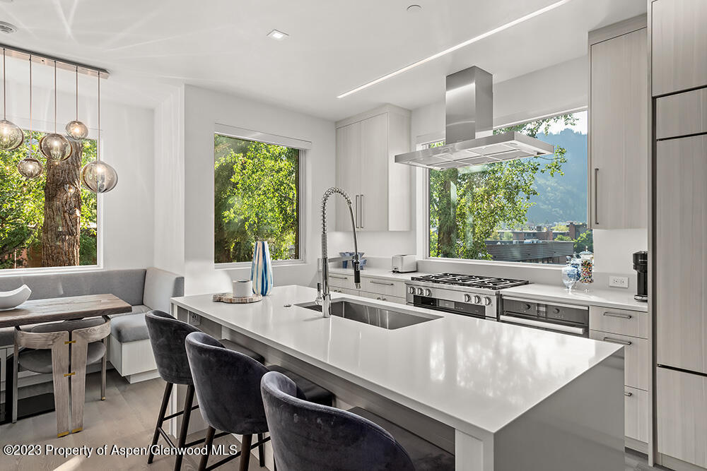 802 E Cooper Aspen CO 81611