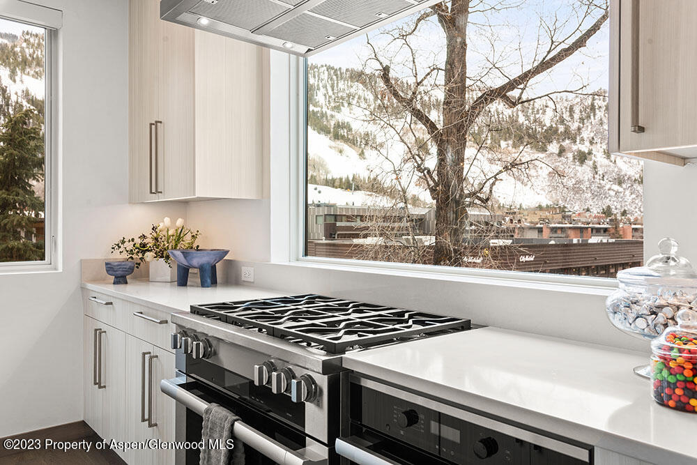 802 E Cooper Aspen CO 81611