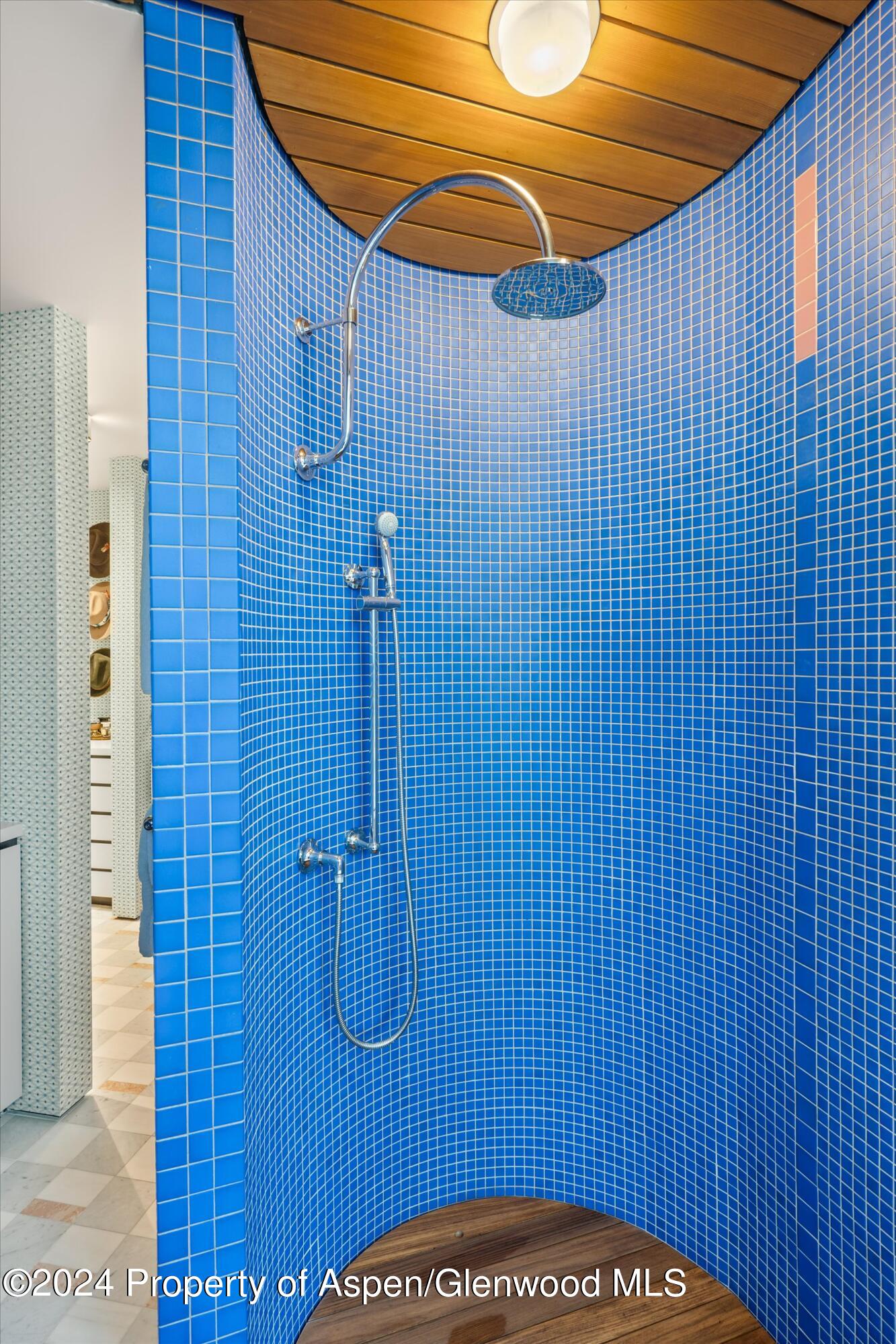 701 Gibson Avenue Aspen CO 81611