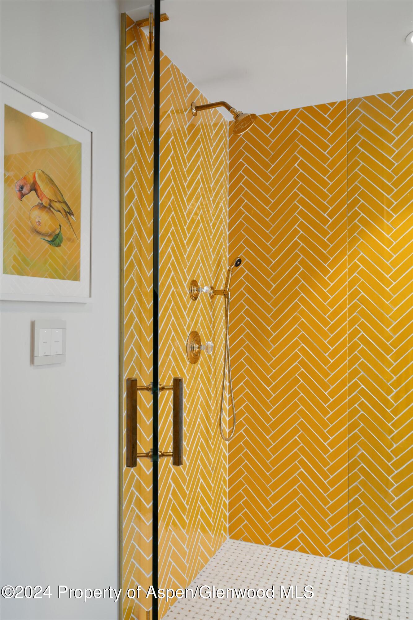 701 Gibson Avenue Aspen CO 81611