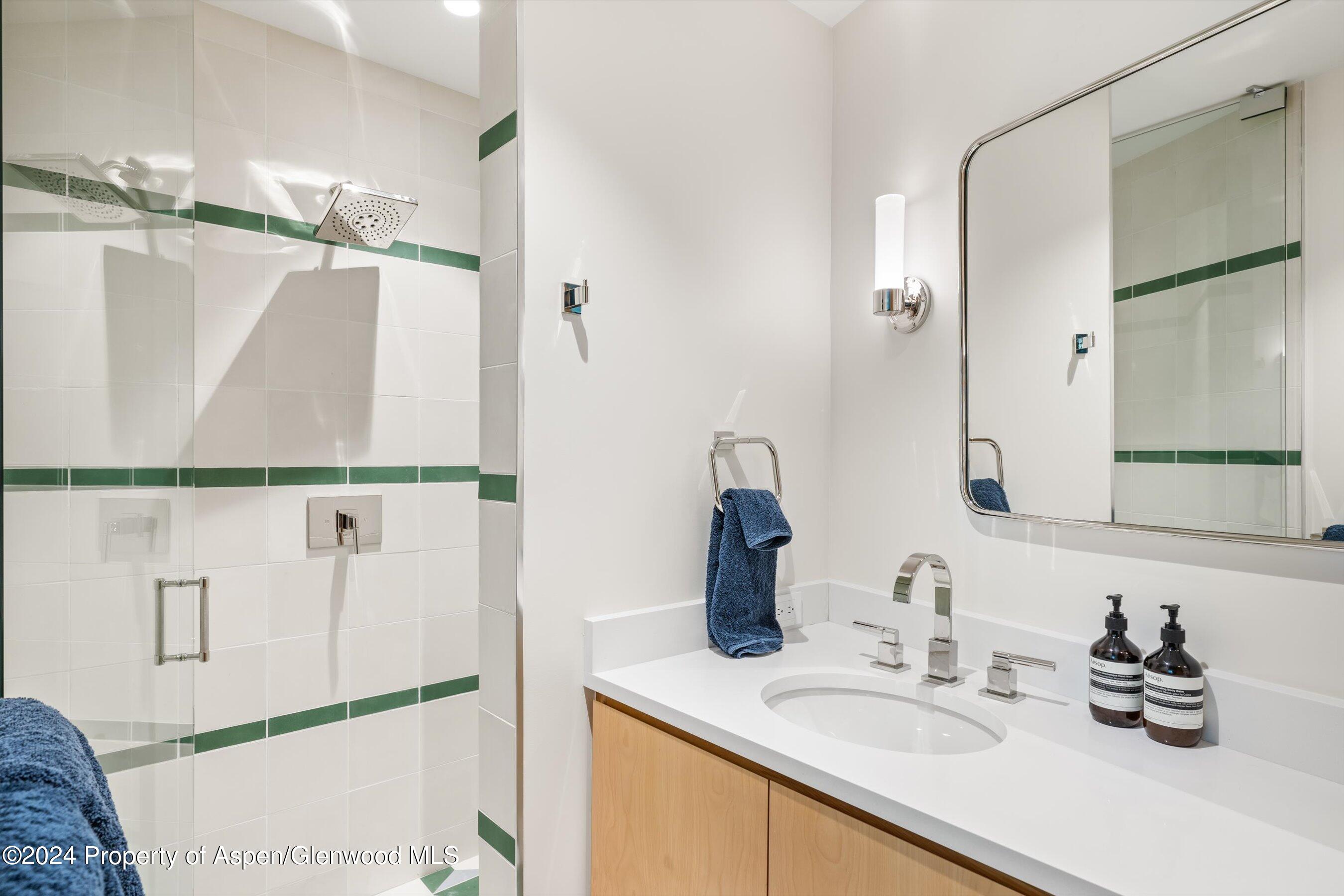 701 Gibson Avenue Aspen CO 81611