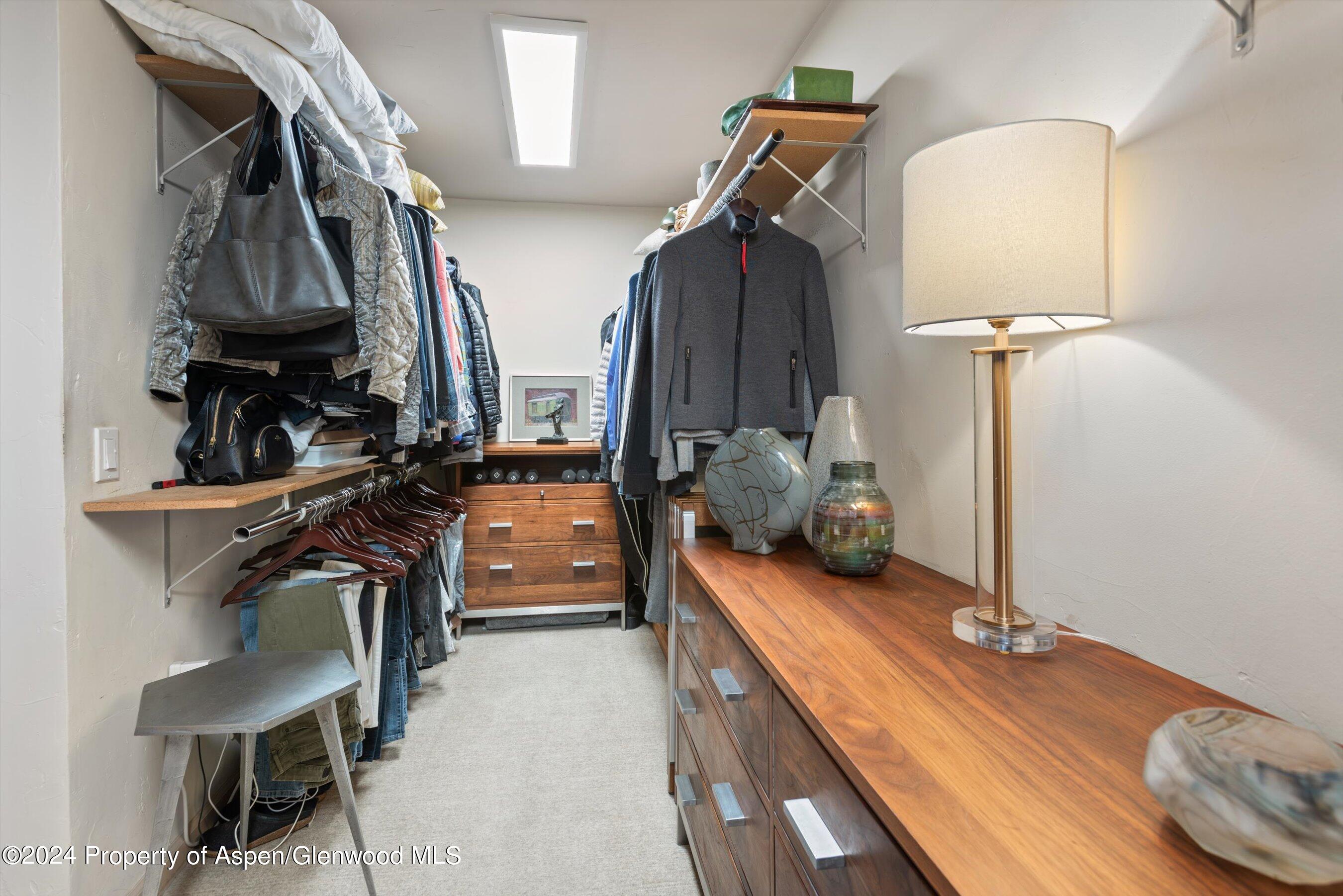 117 Neale Avenue Aspen CO 81611