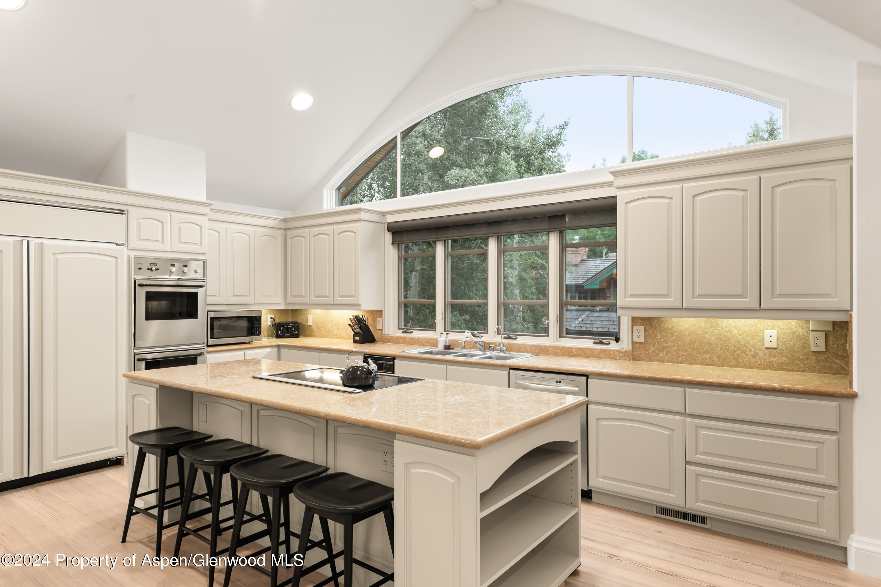 421 S West End Street Aspen CO 81611