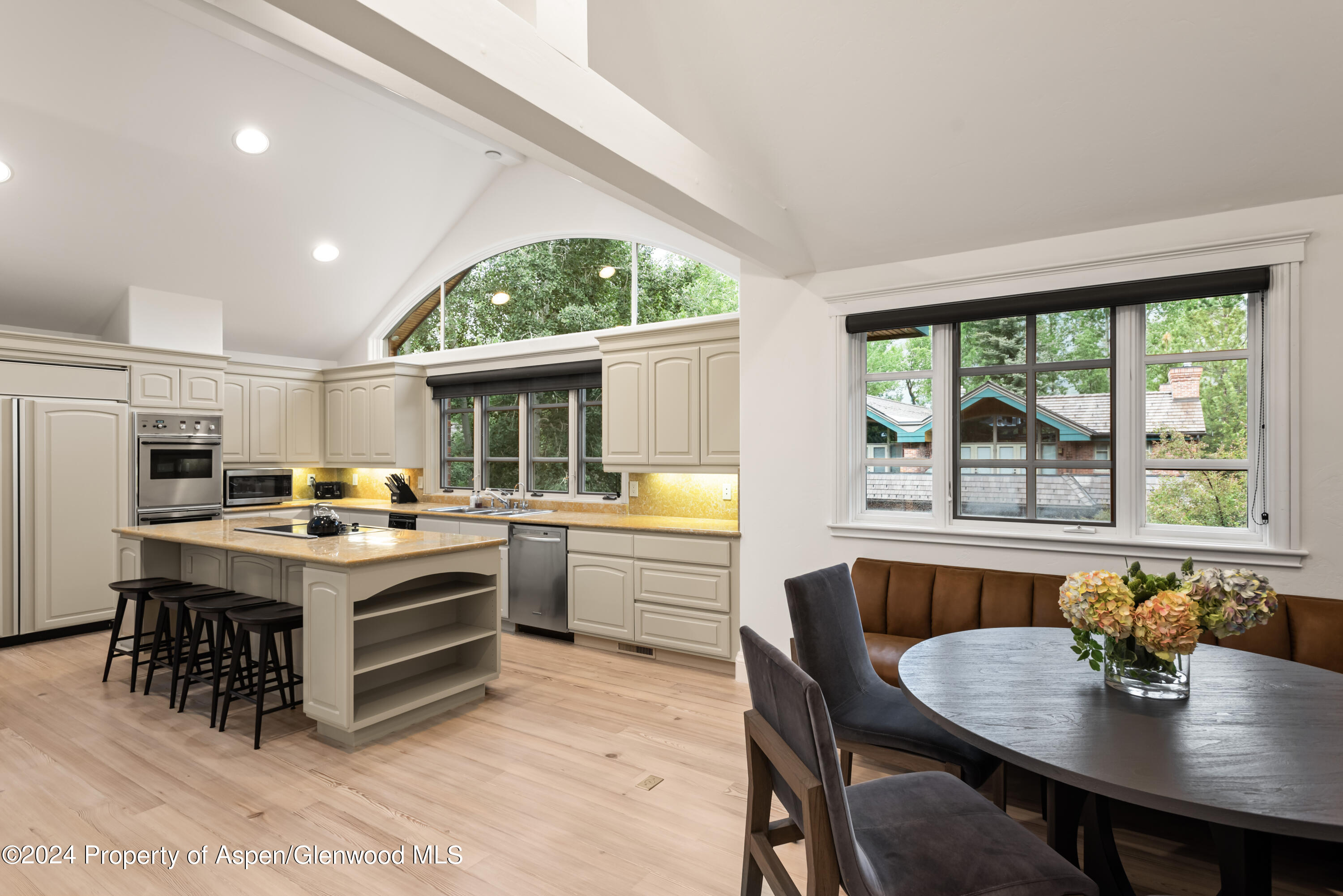 421 S West End Street Aspen CO 81611