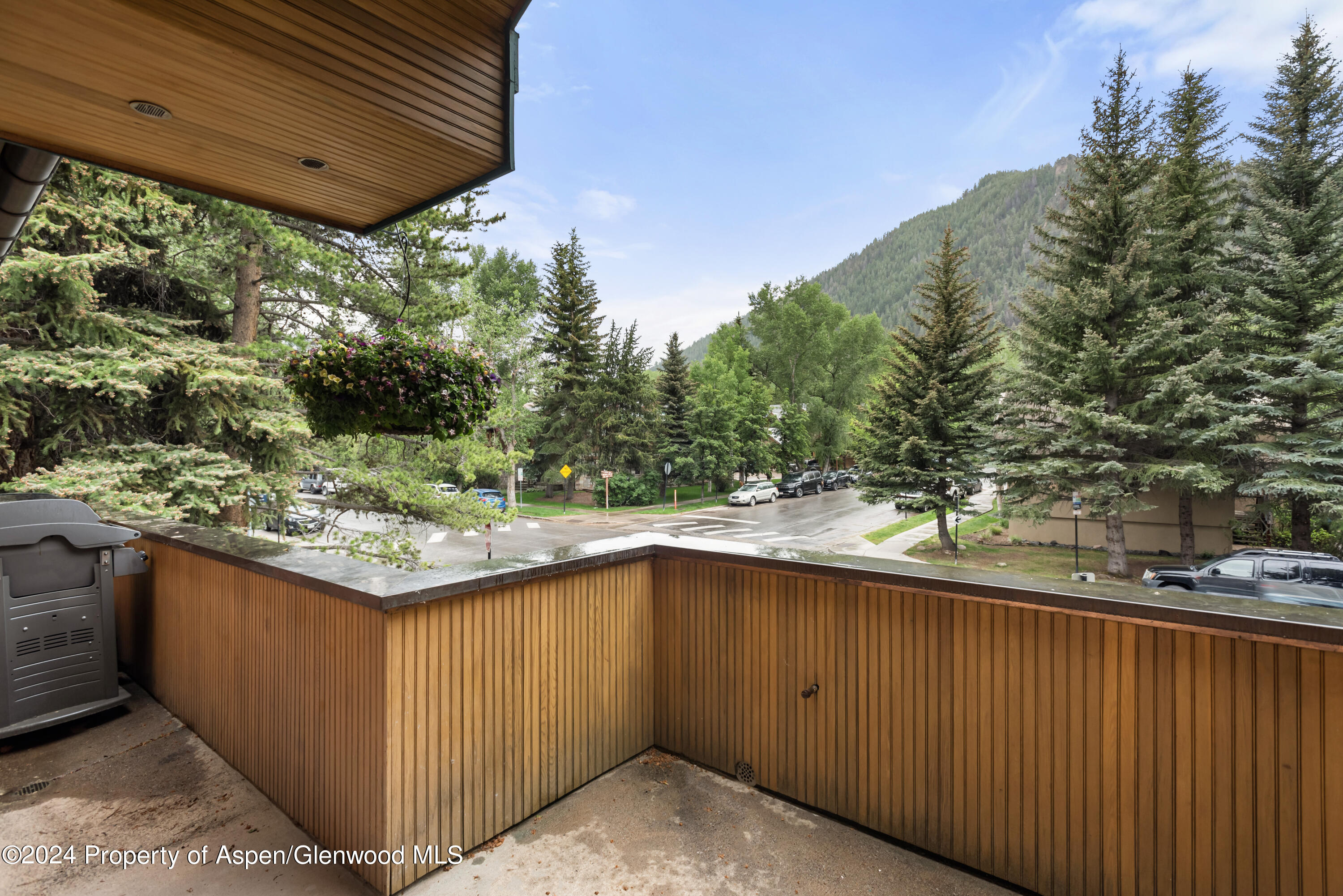 421 S West End Street Aspen CO 81611