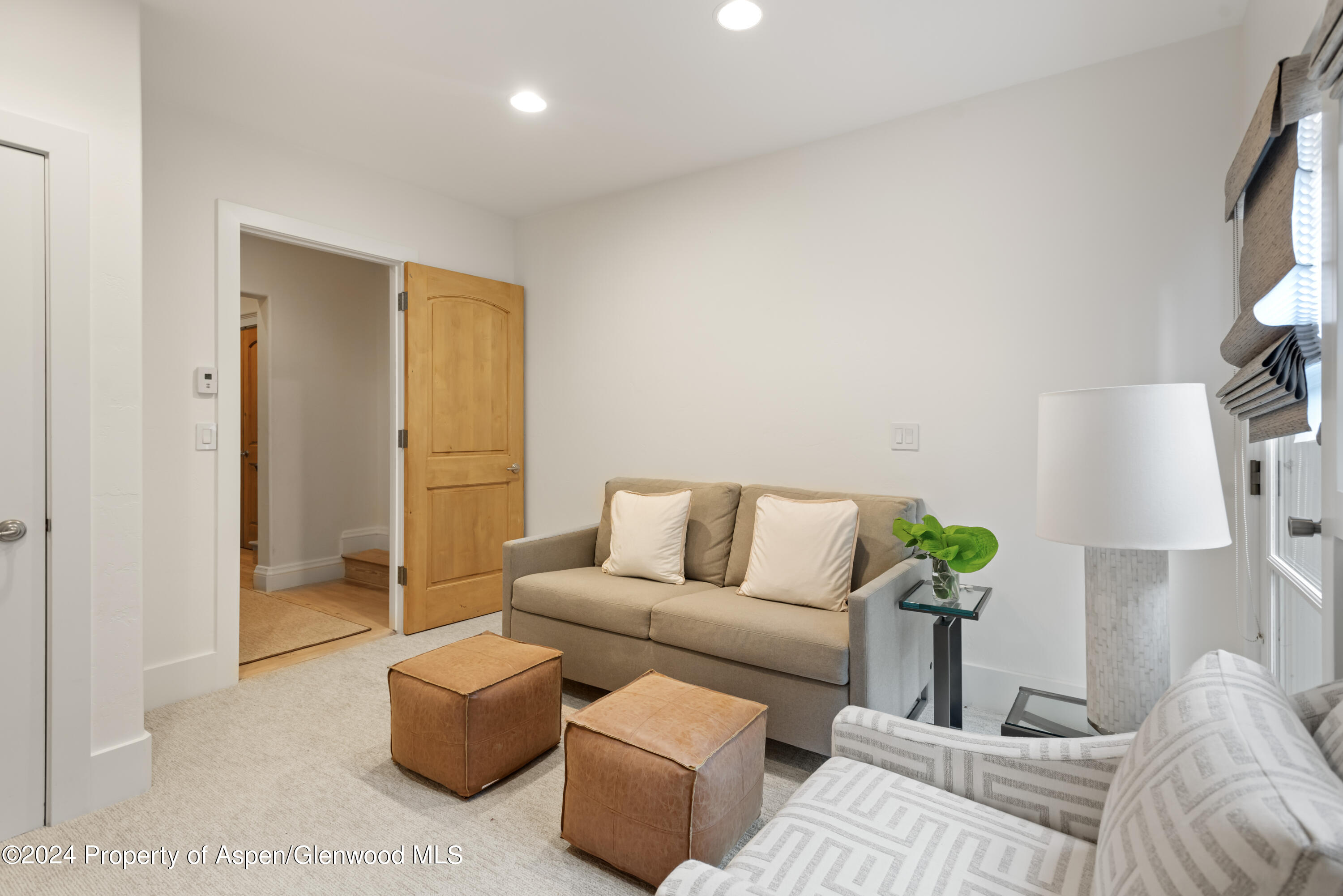 421 S West End Street Aspen CO 81611