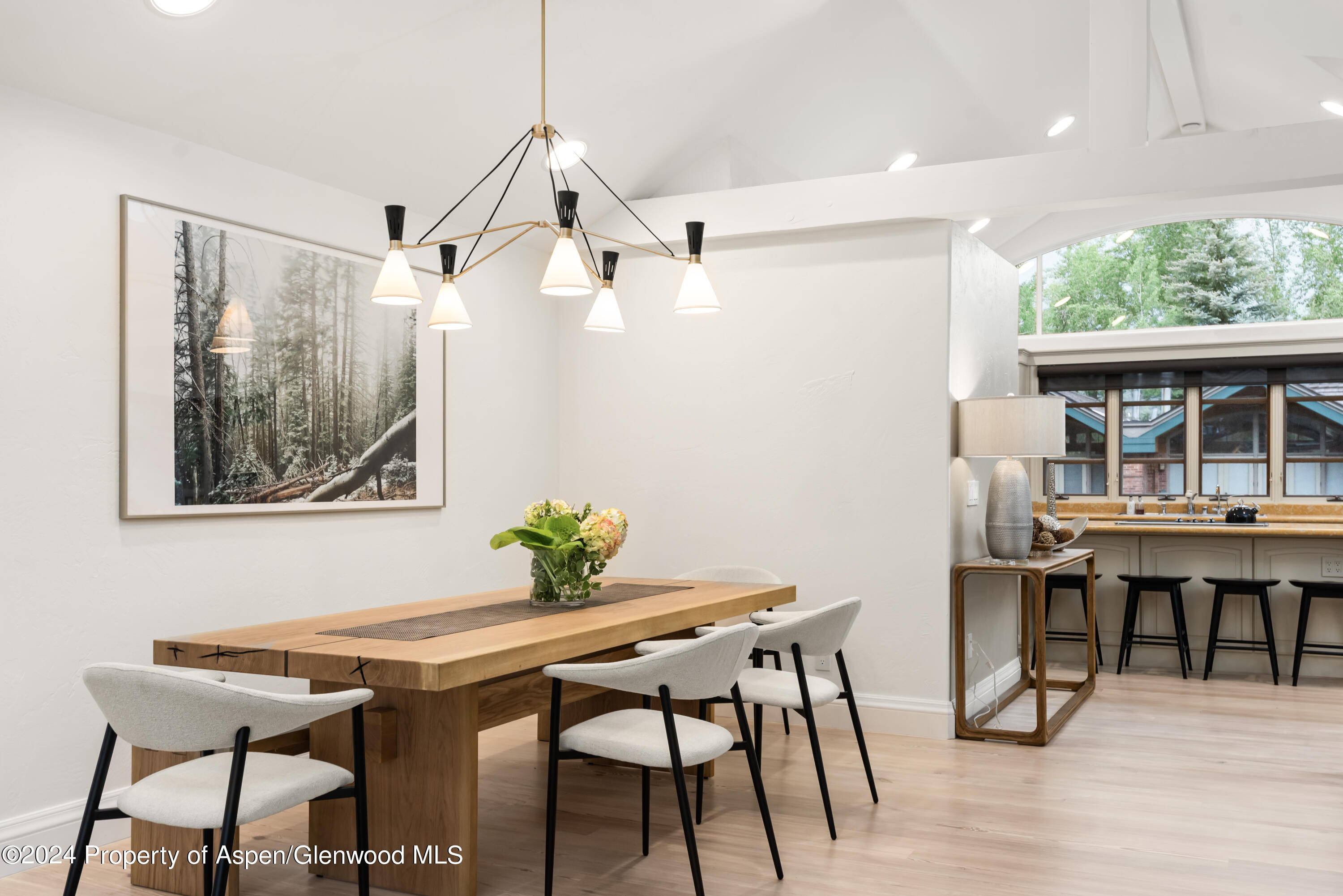 421 S West End Street Aspen CO 81611