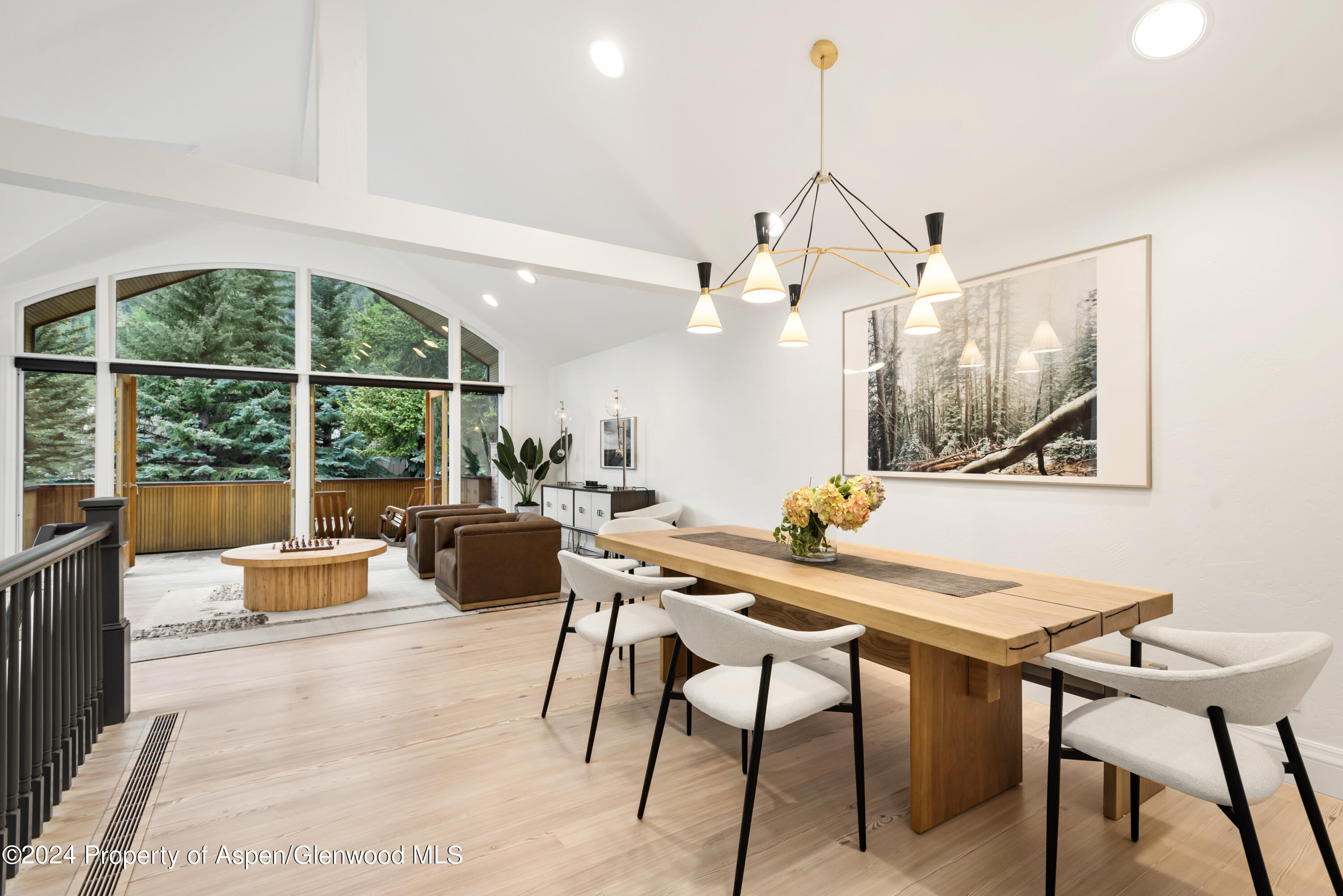 421 S West End Street Aspen CO 81611