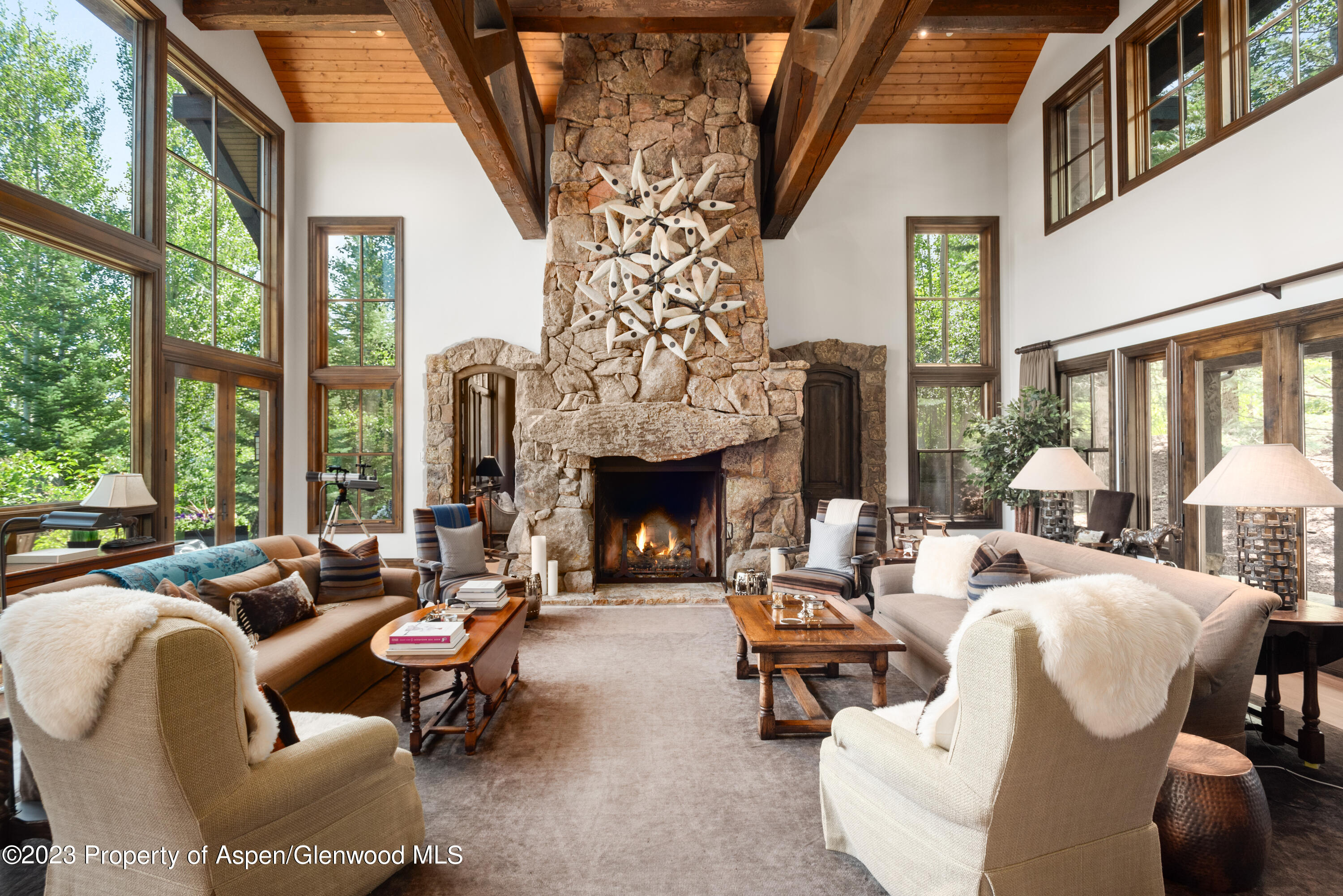 353 Pfister Drive Aspen CO 81611