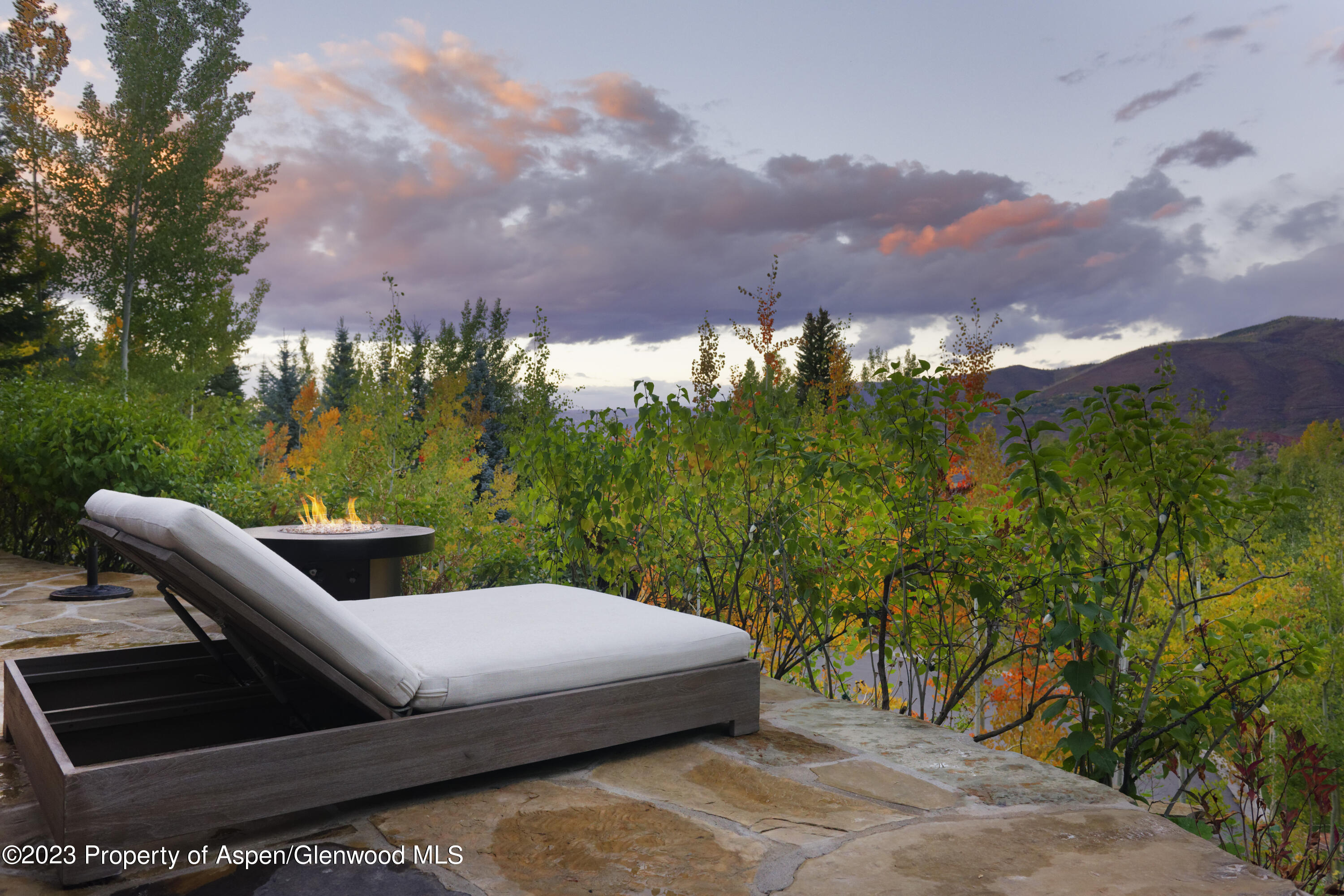 353 Pfister Drive Aspen CO 81611