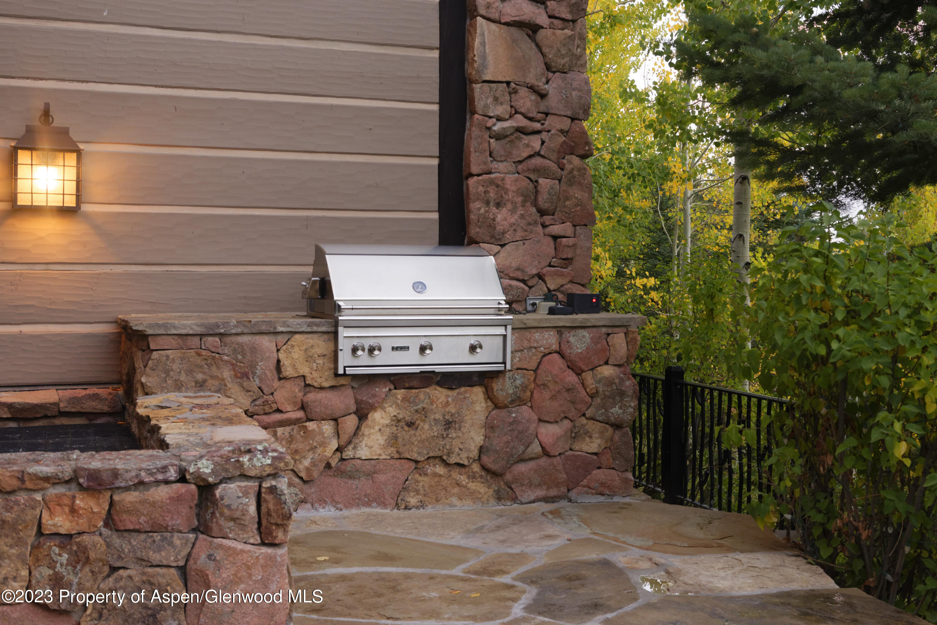 353 Pfister Drive Aspen CO 81611