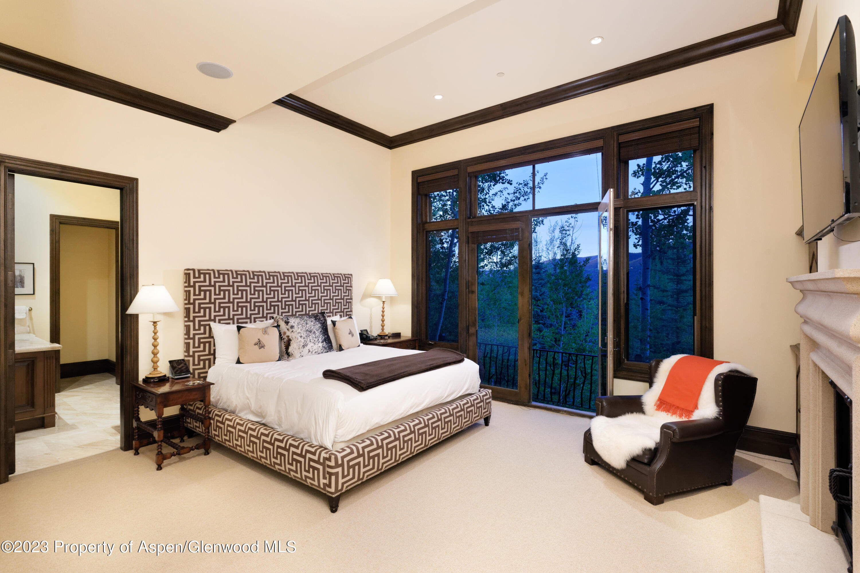 353 Pfister Drive Aspen CO 81611