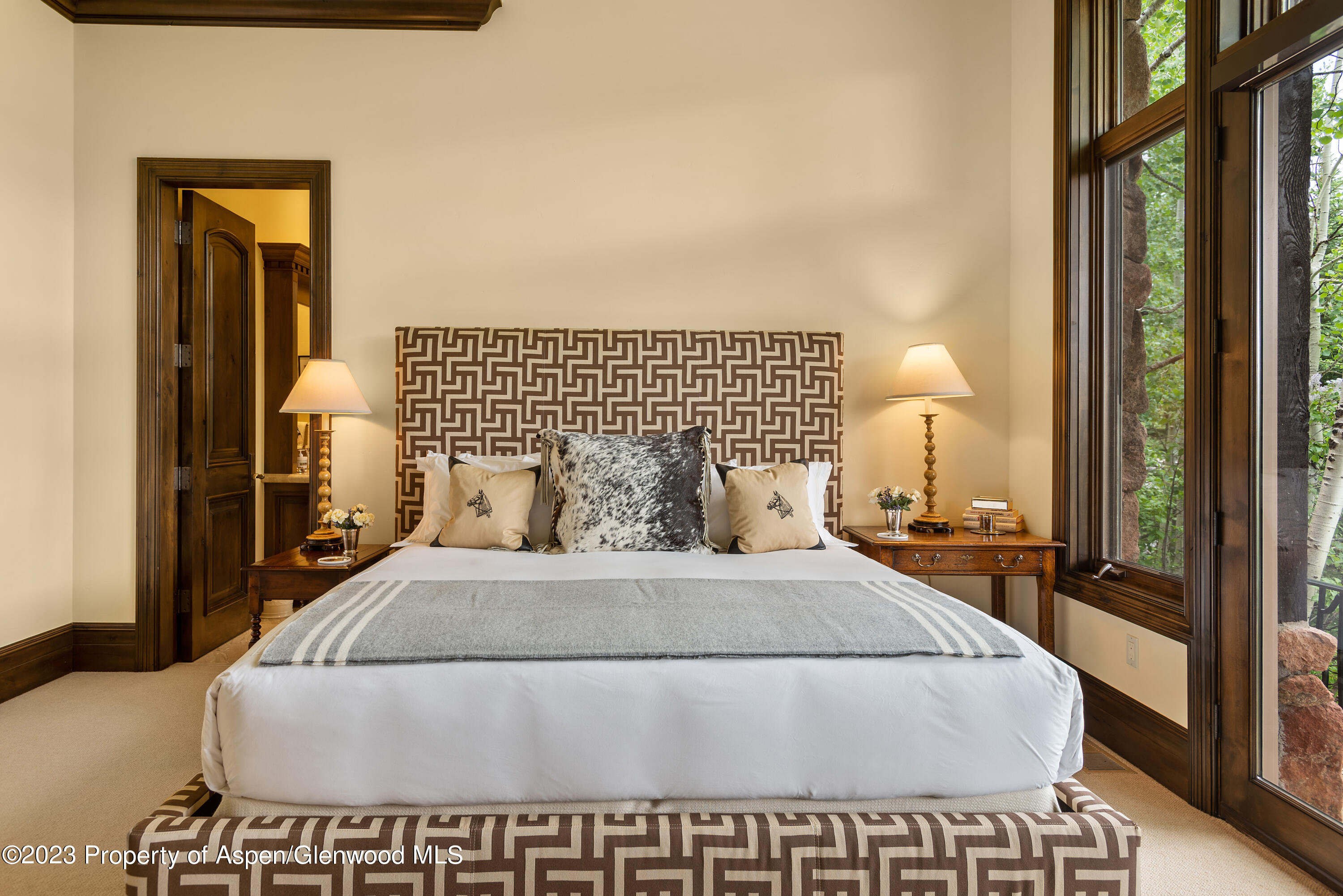 353 Pfister Drive Aspen CO 81611