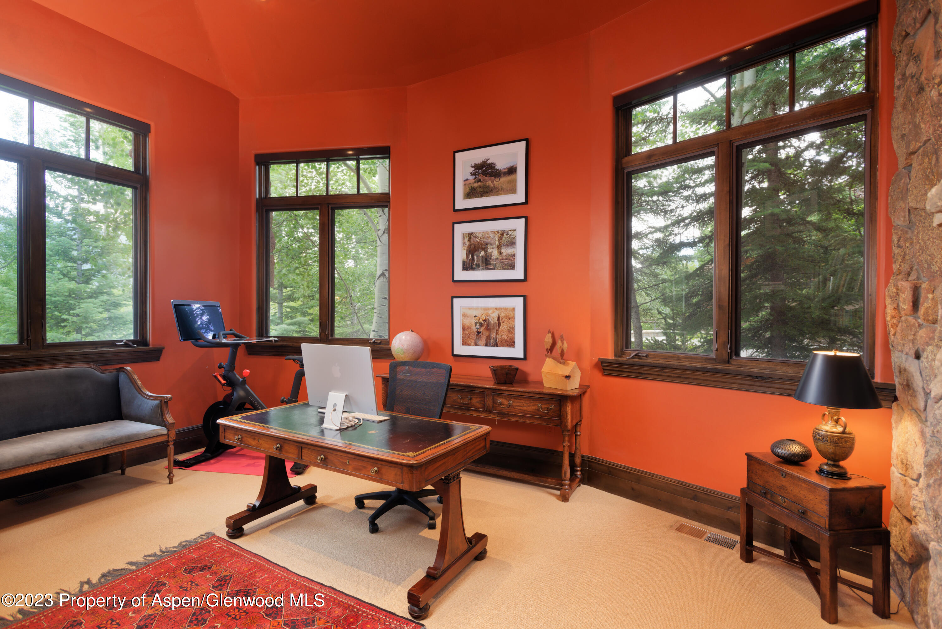 353 Pfister Drive Aspen CO 81611