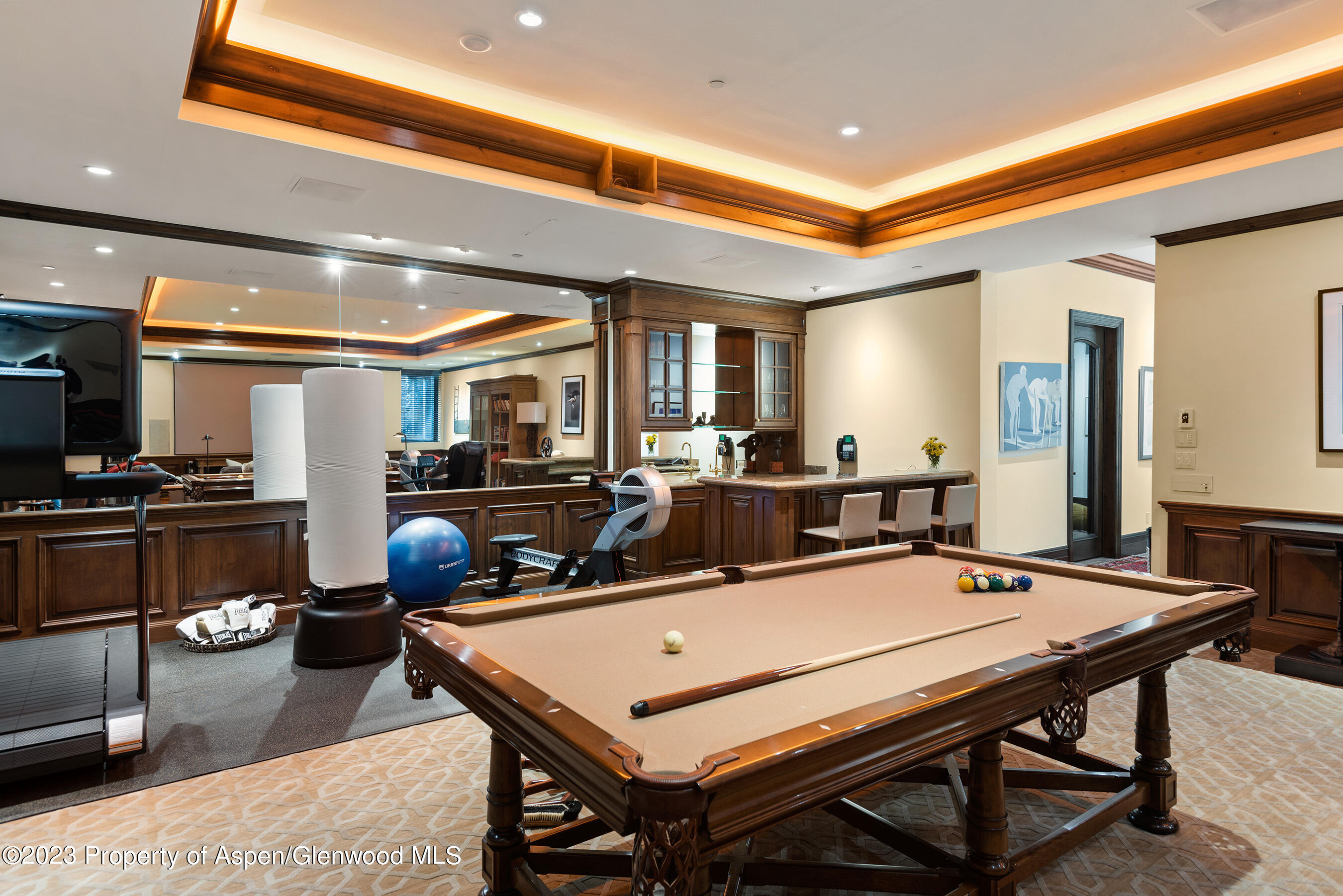 353 Pfister Drive Aspen CO 81611