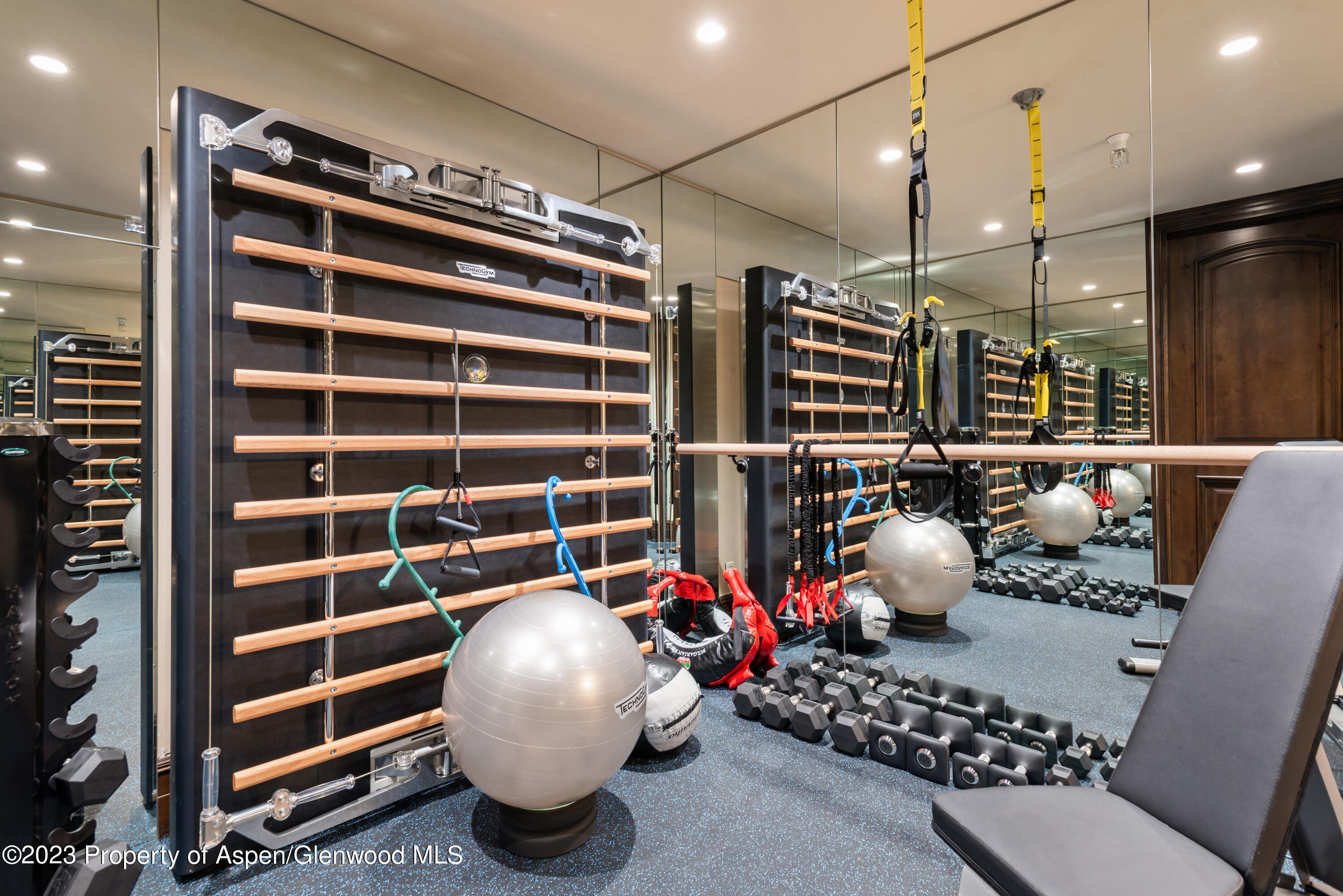 353 Pfister Drive Aspen CO 81611