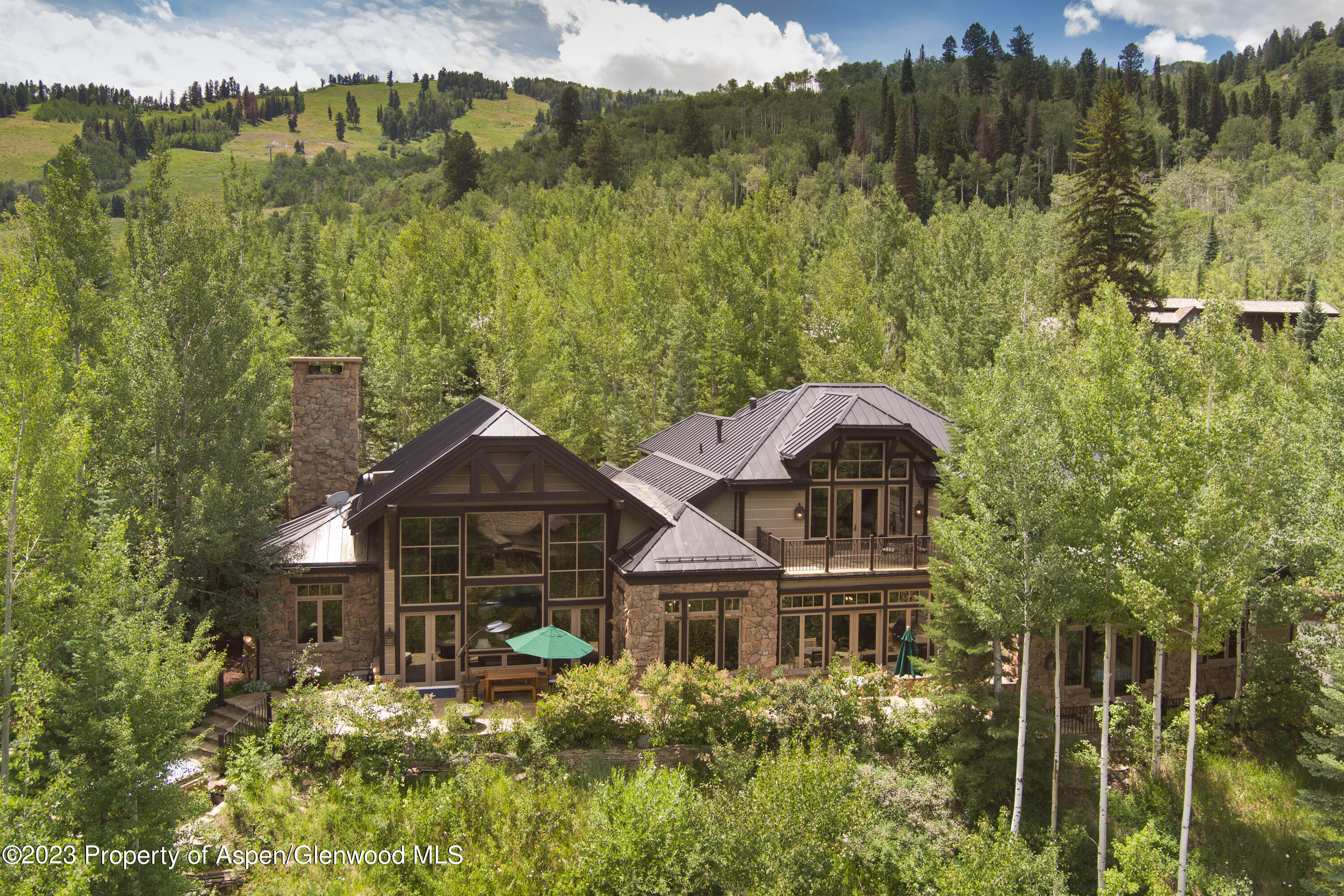 353 Pfister Drive Aspen CO 81611