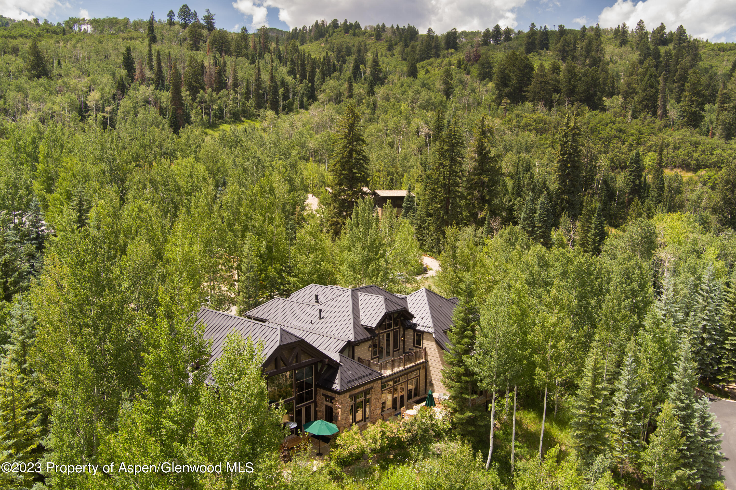 353 Pfister Drive Aspen CO 81611