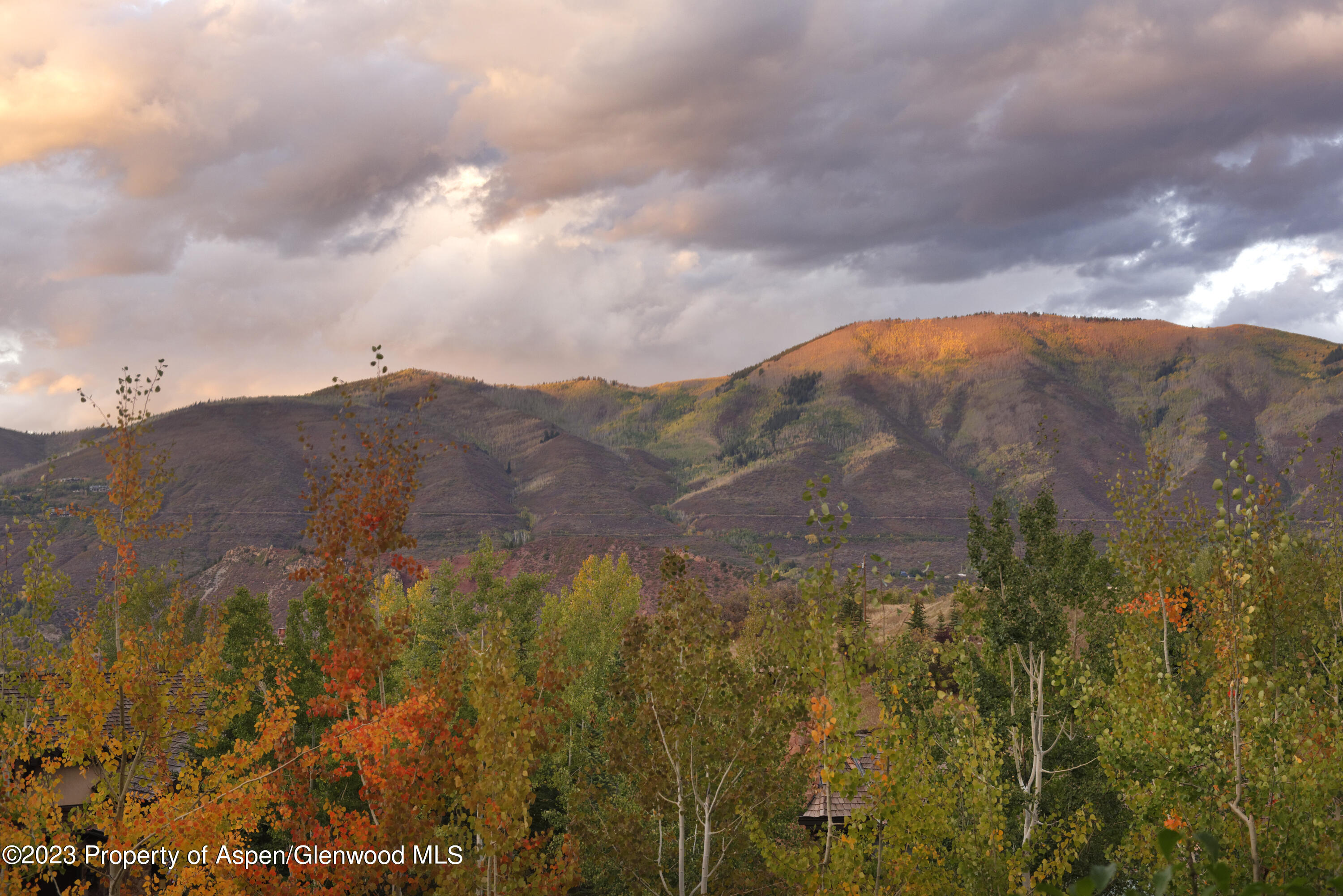 353 Pfister Drive Aspen CO 81611