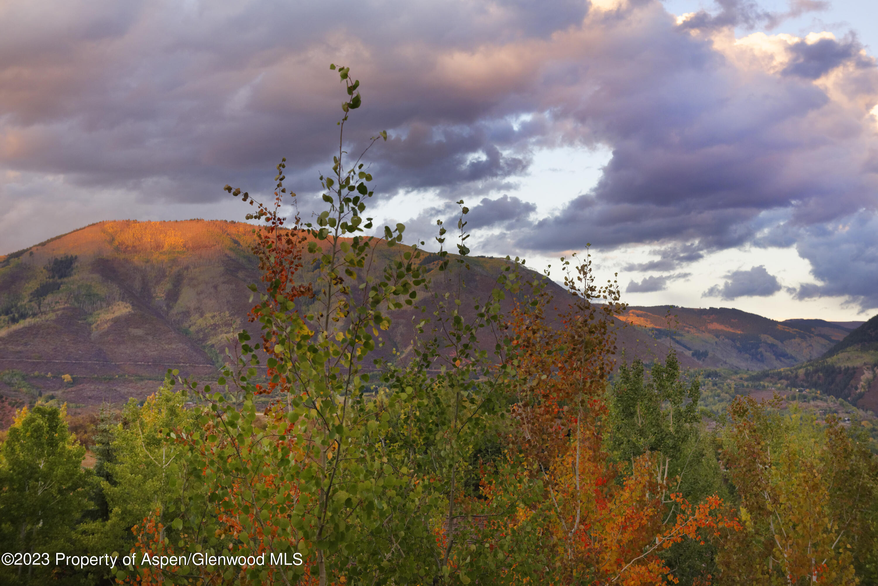 353 Pfister Drive Aspen CO 81611