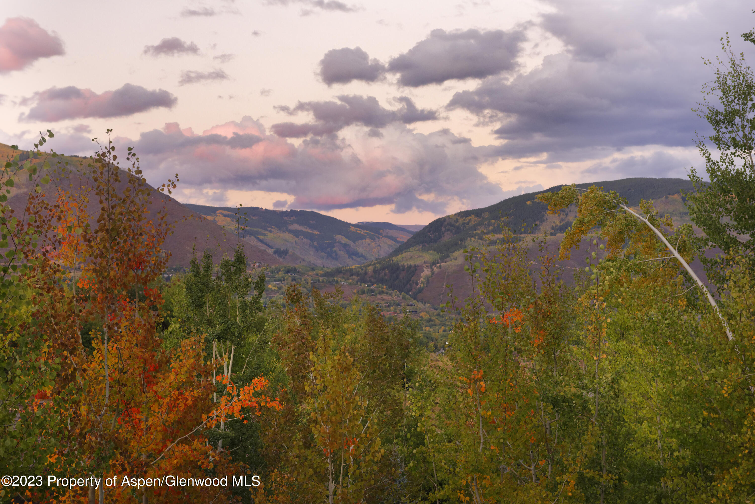 353 Pfister Drive Aspen CO 81611