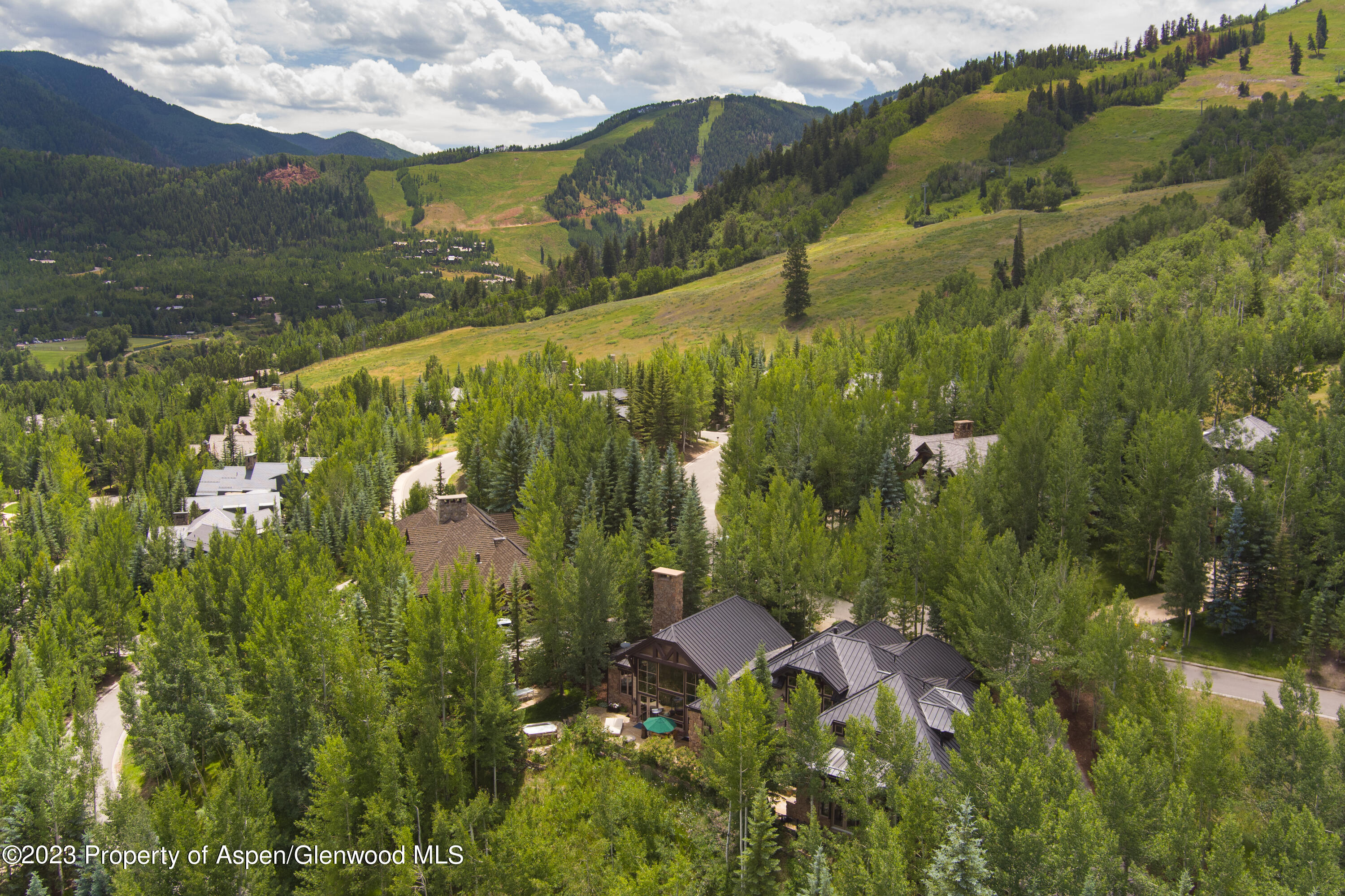 353 Pfister Drive Aspen CO 81611