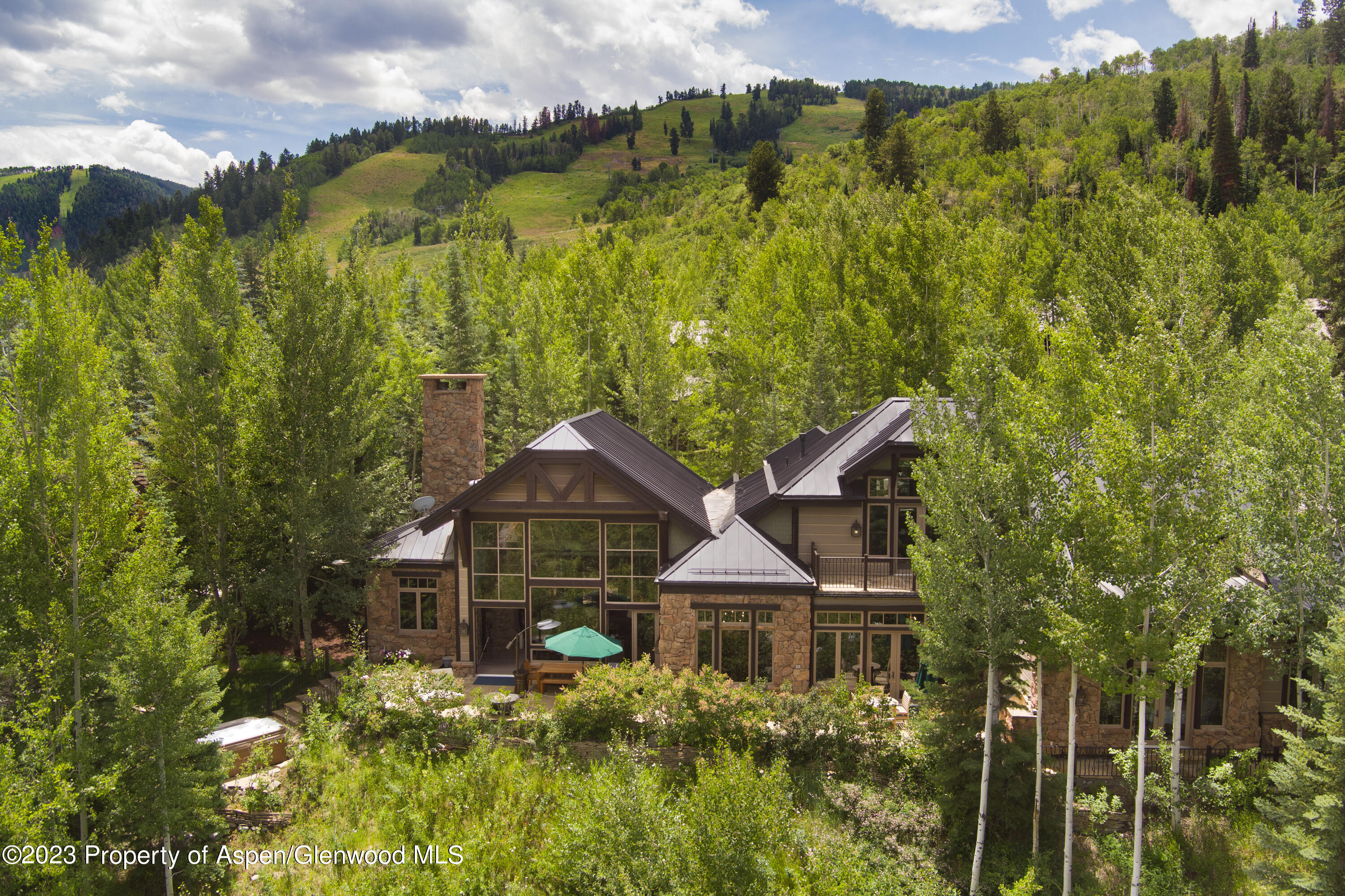 353 Pfister Drive Aspen CO 81611