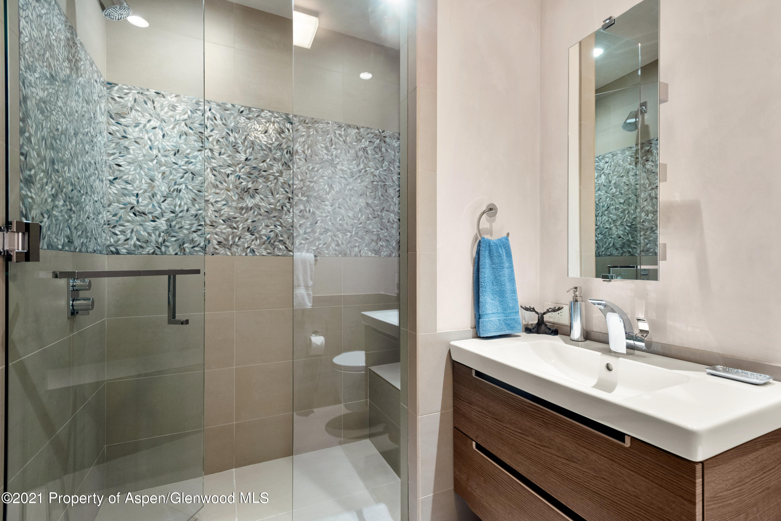 727 E Hopkins Avenue Aspen CO 81611