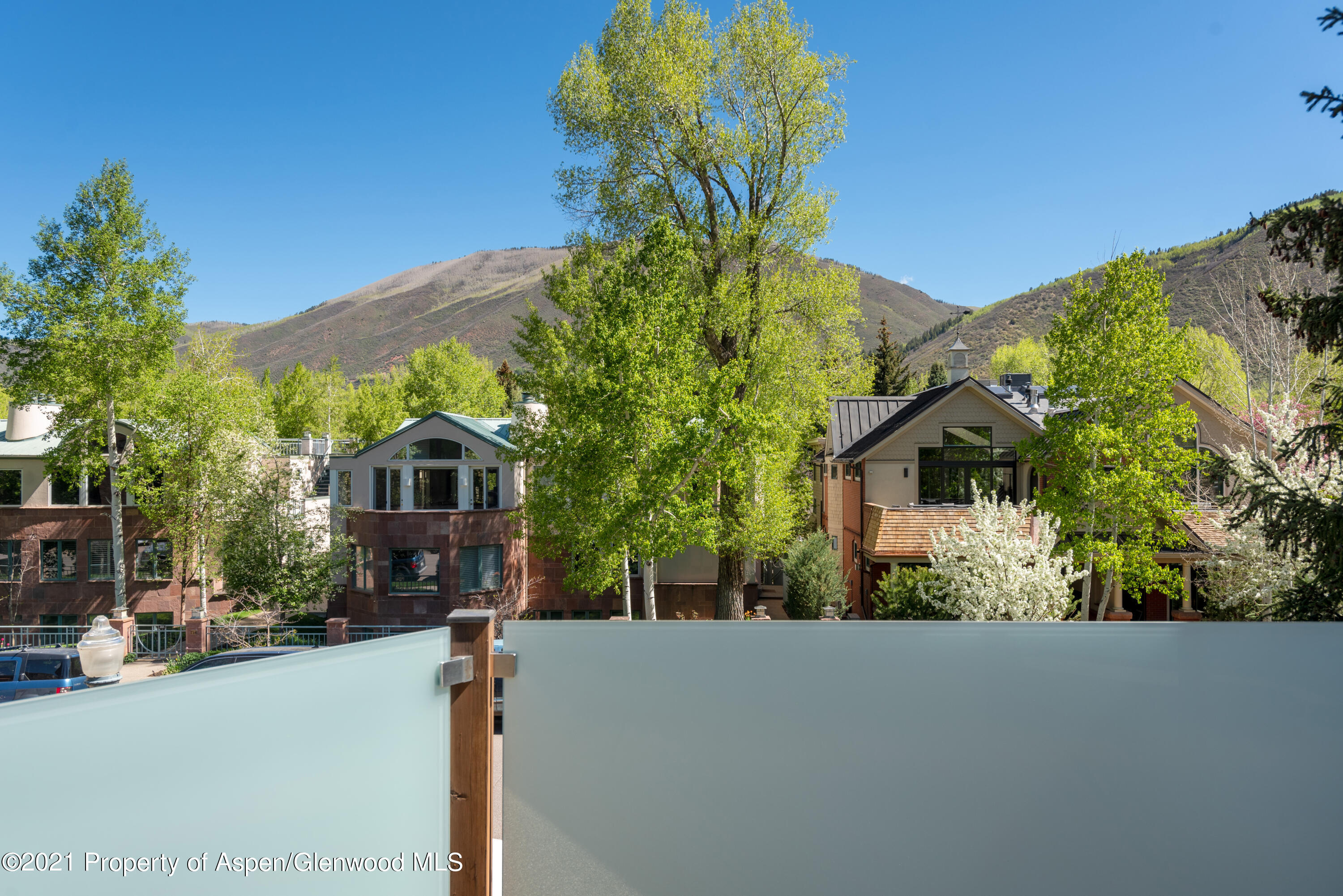 727 E Hopkins Avenue Aspen CO 81611