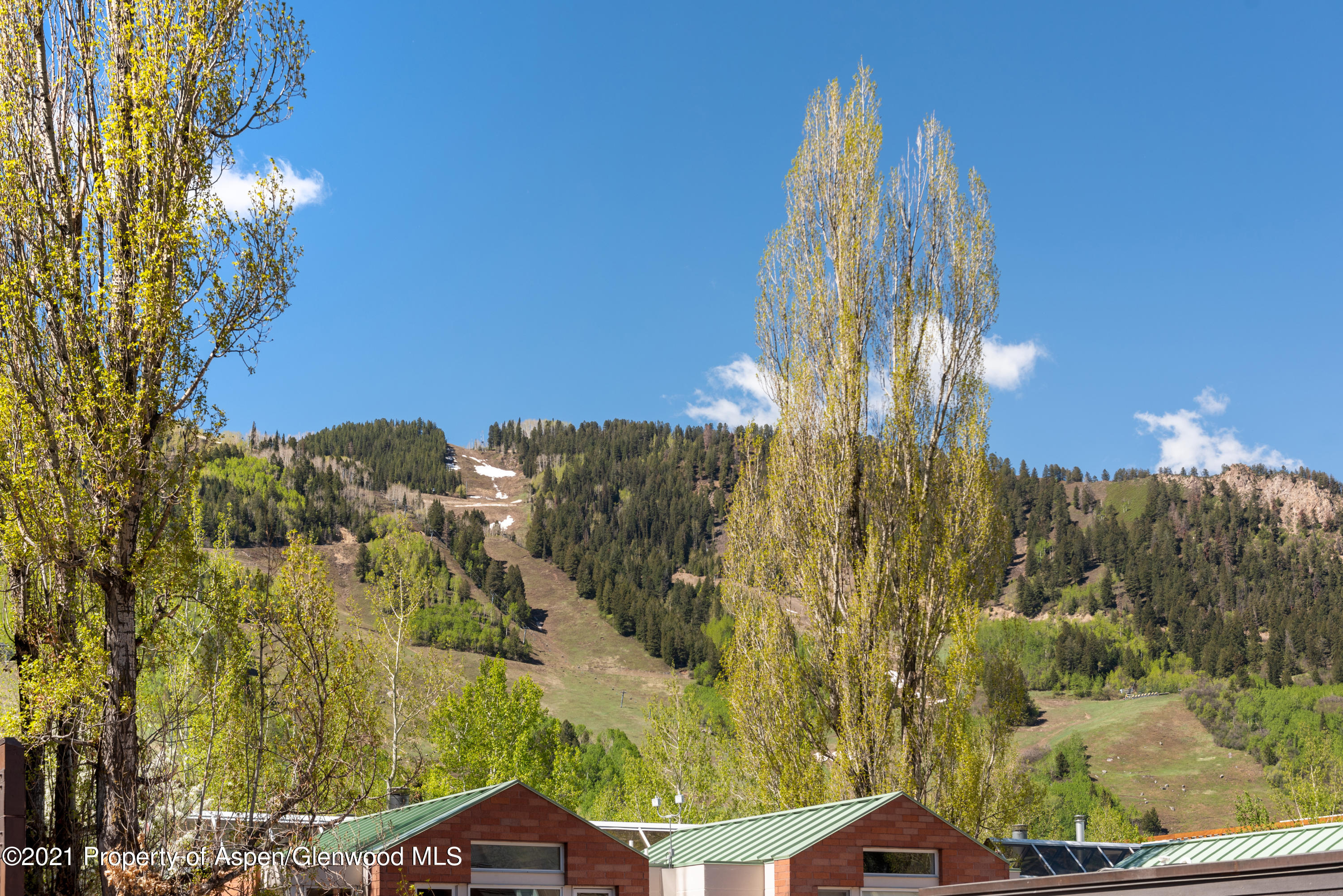727 E Hopkins Avenue Aspen CO 81611