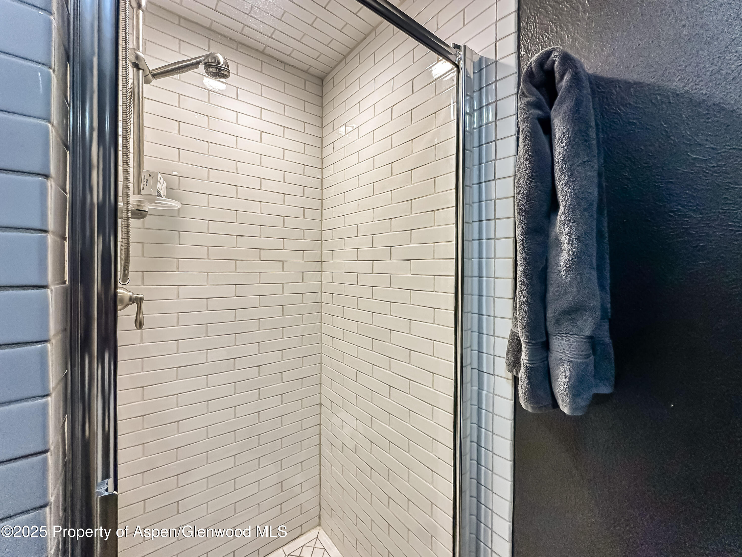 1050 Waters Avenue Aspen CO 81611