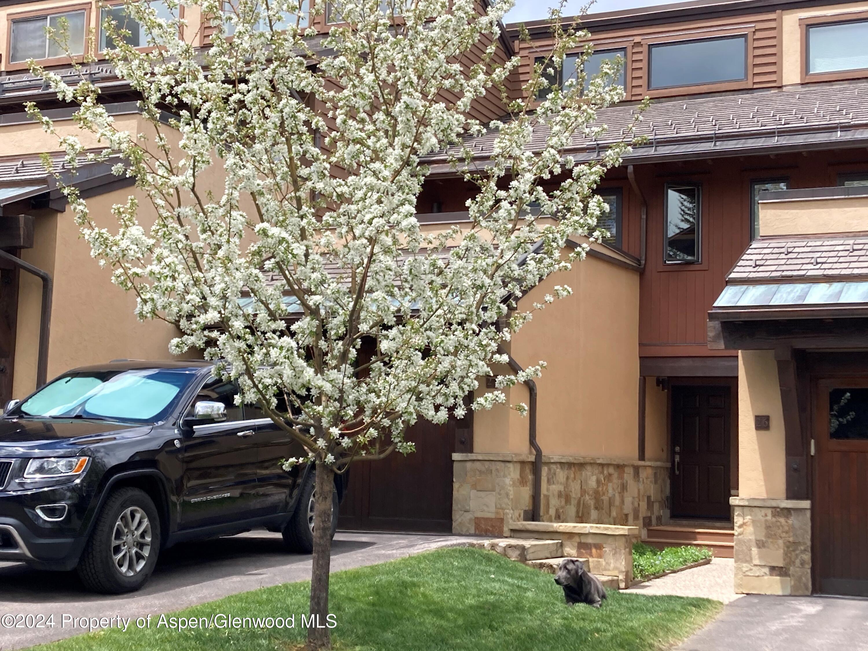 467 Snowmass Club Circle Snowmass Village CO 81615