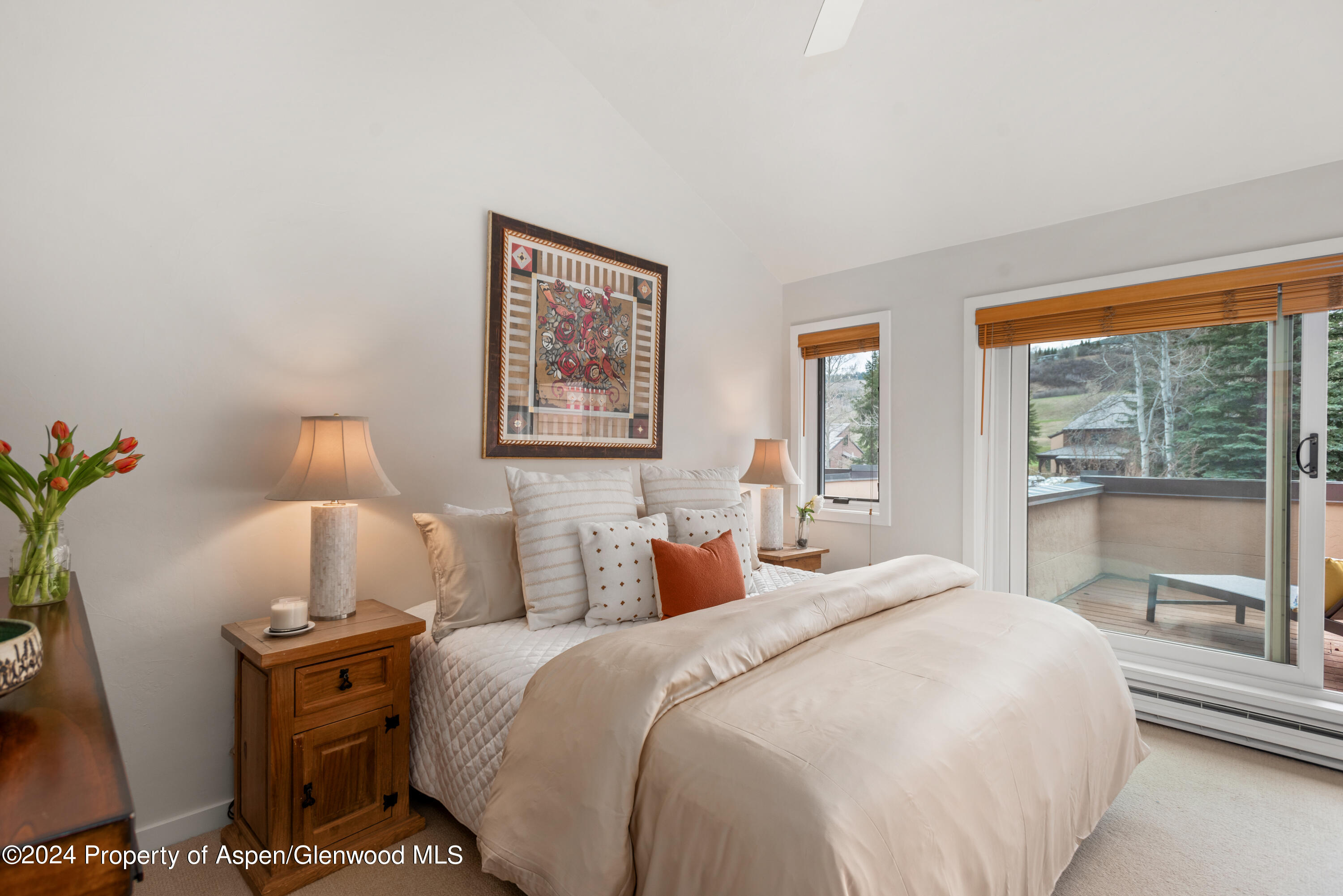 467 Snowmass Club Circle Snowmass Village CO 81615