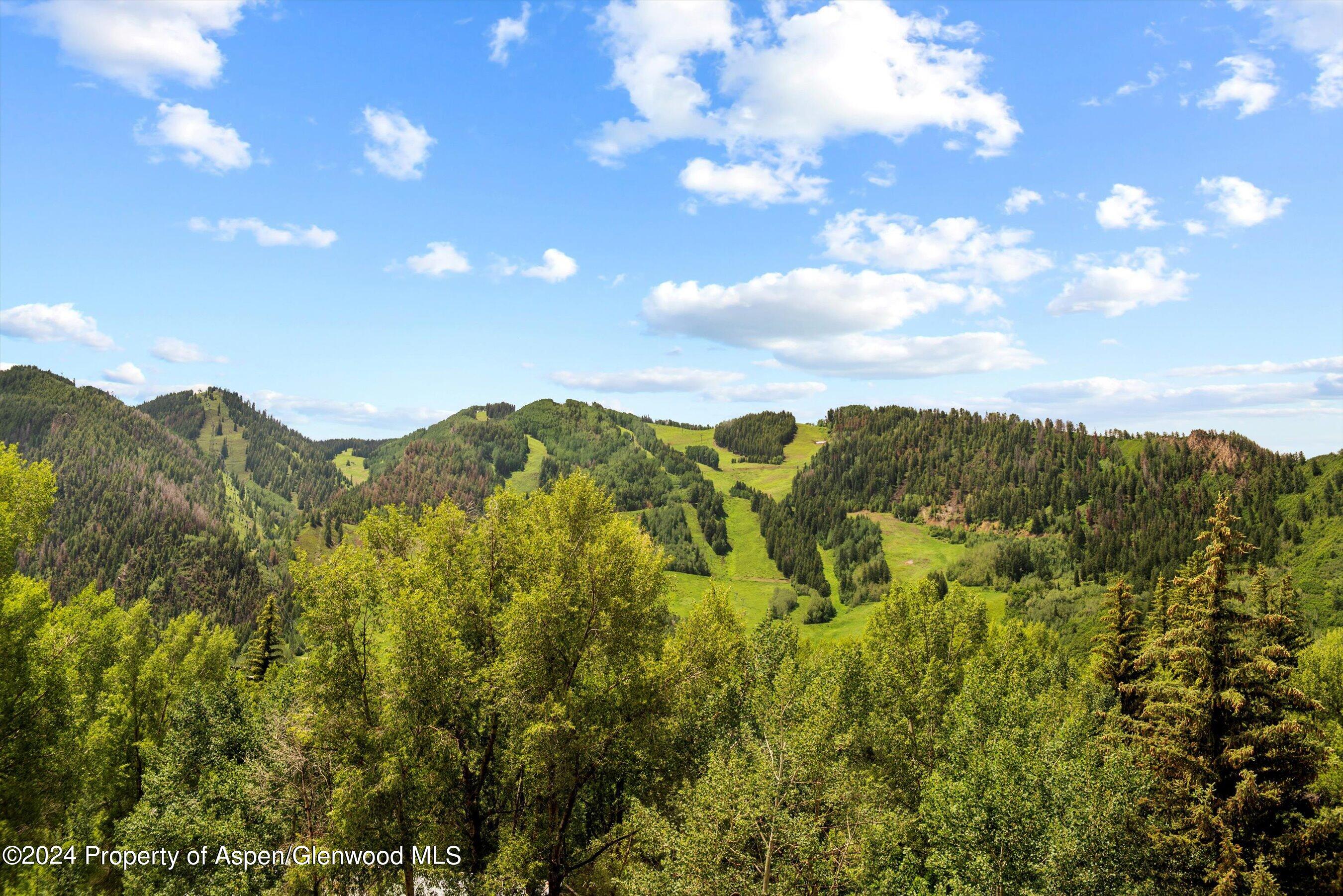 155 Lone Pine Road Aspen CO 81611